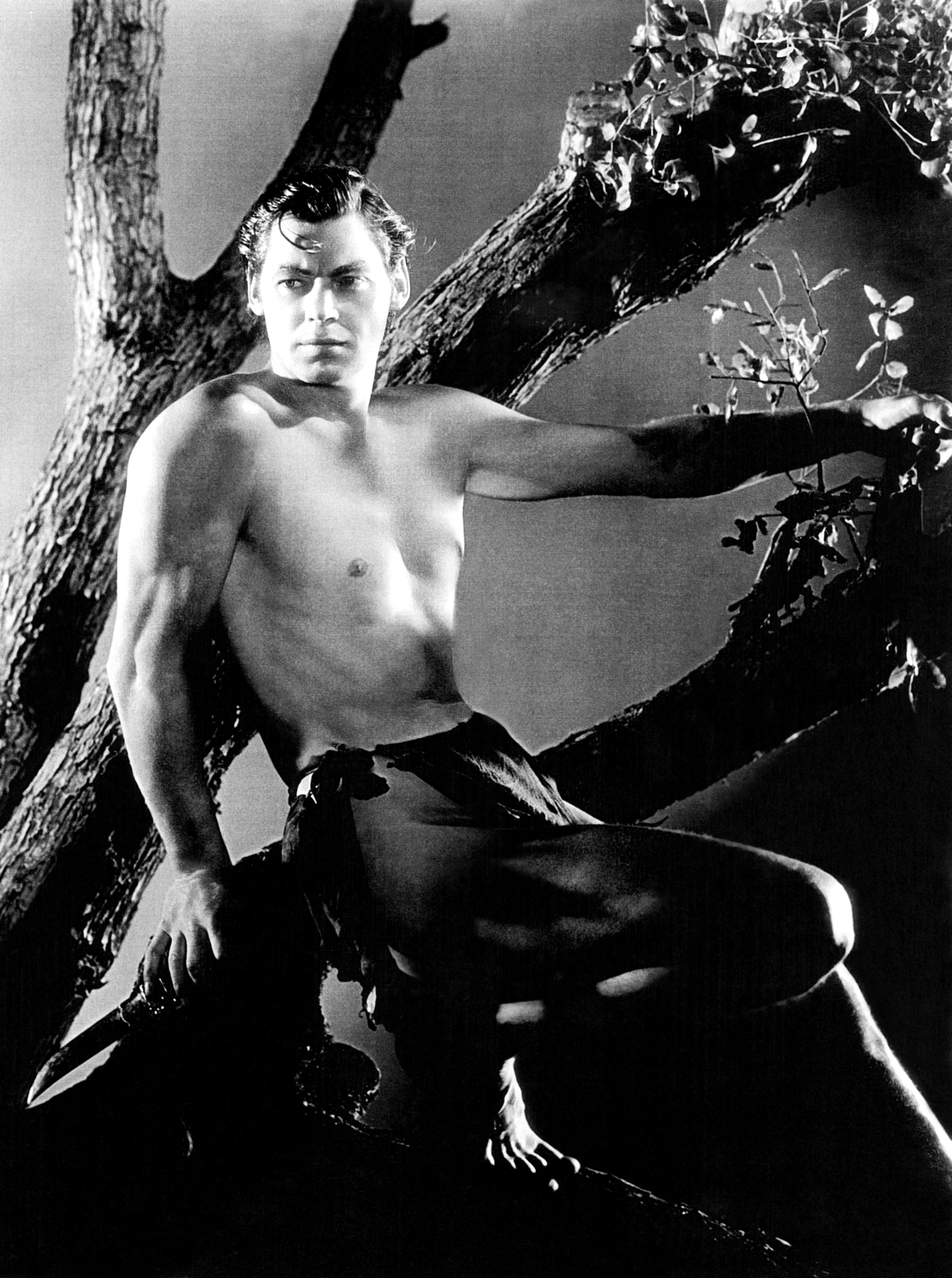 Johnny Weissmuller, shirtless, wearing a loincloth, posing on a tree branch in a classic Tarzan publicity photo