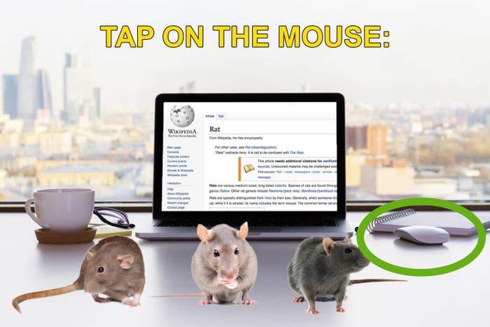 The same image as before but with a green circle around the computer's mouse