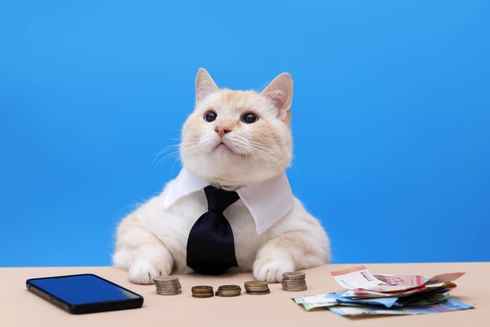 A cat wearing a shirt and tie sits at a desk with coins, a smartphone, and scattered papers, appearing like a business professional