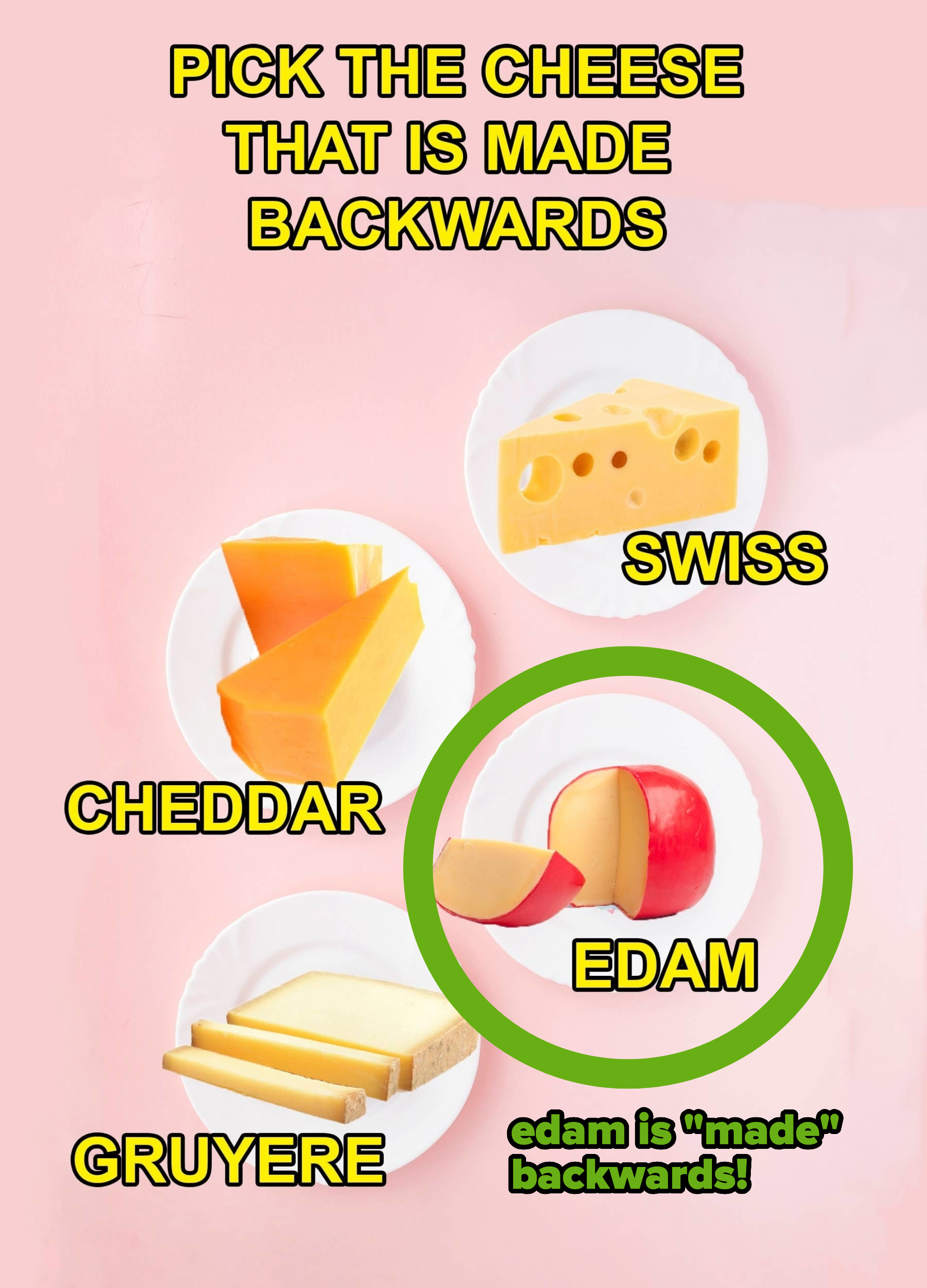 The same image but with Edam circled. Edam is the word "made" backwards