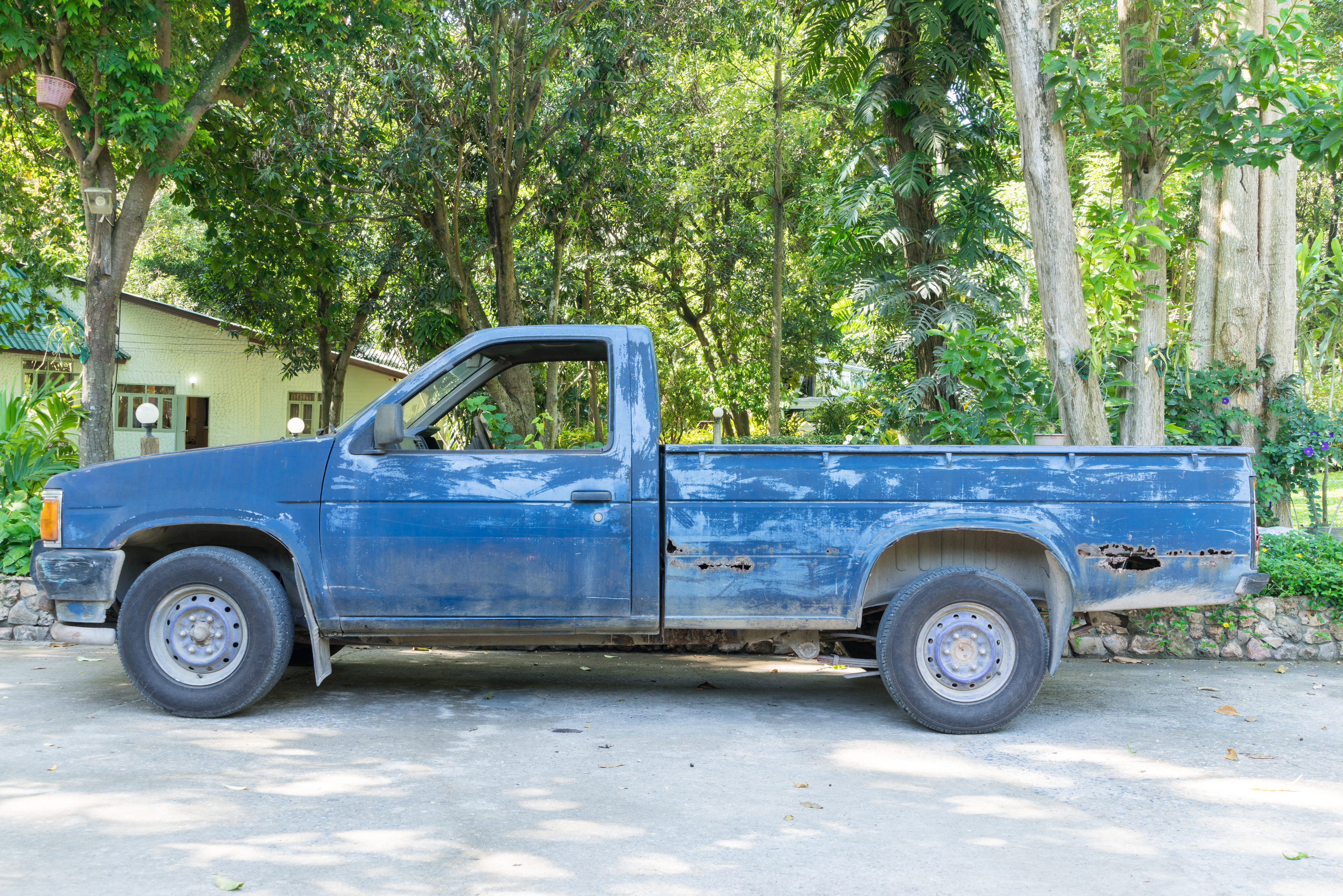 A blue rusty pickup truck is parked on a concrete surface, surrounded by lush greenery and trees