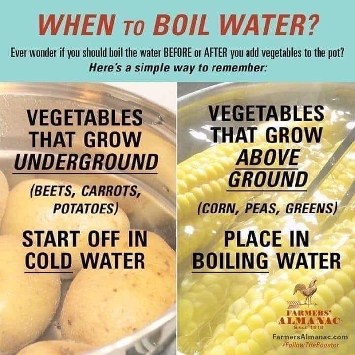 An infographic from FarmersAlmanac.com on when to boil water for vegetables: start vegetables that grow underground (beets, carrots, potatoes) in cold water; place vegetables that grow above ground (corn, peas, greens) in boiling water
