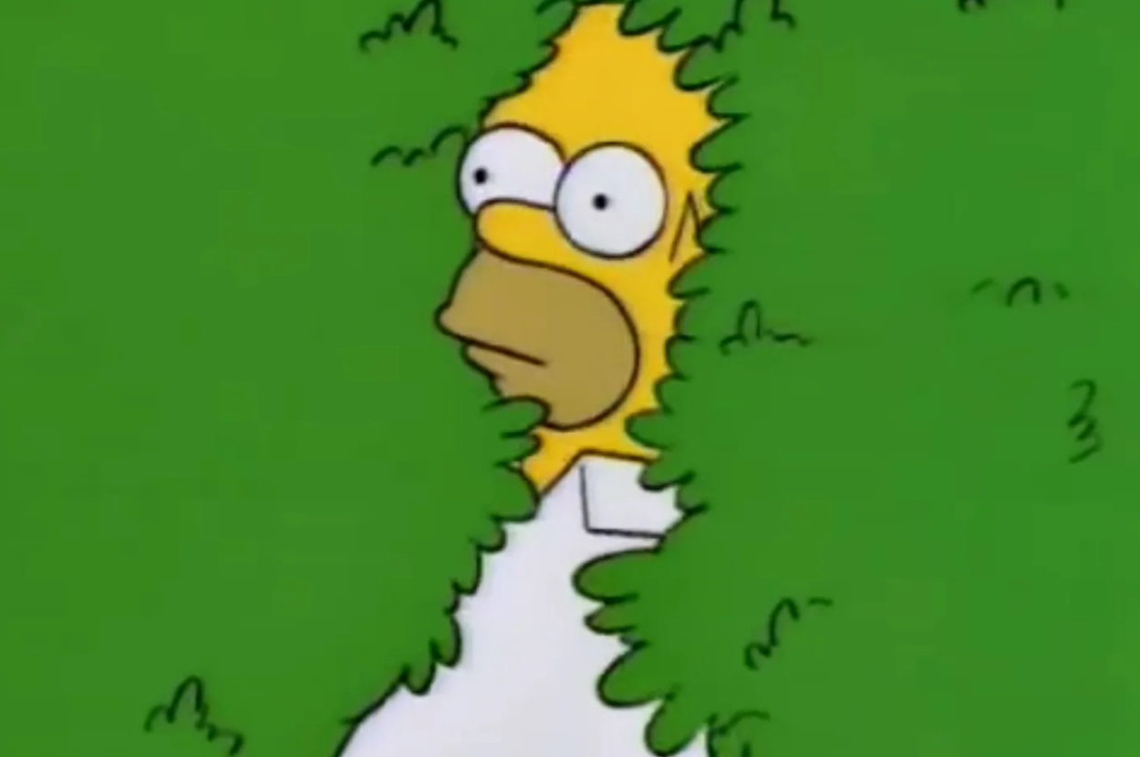 Homer Simpson, a character from The Simpsons, backs into a hedge, partially obscured by leaves. His eyes are wide open, and he appears surprised or nervous
