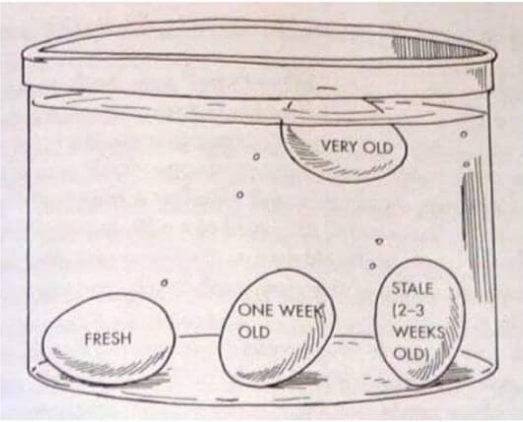 Diagram showing how to test a raw egg for freshness. Fresh eggs sink, one-week-old eggs stand upright, and stale (2-3 weeks old) or very old eggs float