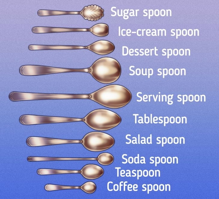 Various types of spoons, each labeled by use: sugar, ice-cream, dessert, soup, serving, tablespoon, salad, soda, teaspoon, and coffee spoon