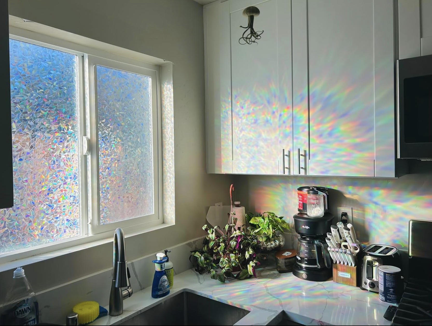 Kitchen window with prismatic film casting colorful light patterns on cabinets and counter; plants, cooking appliances, and kitchen gadgets are on the counter