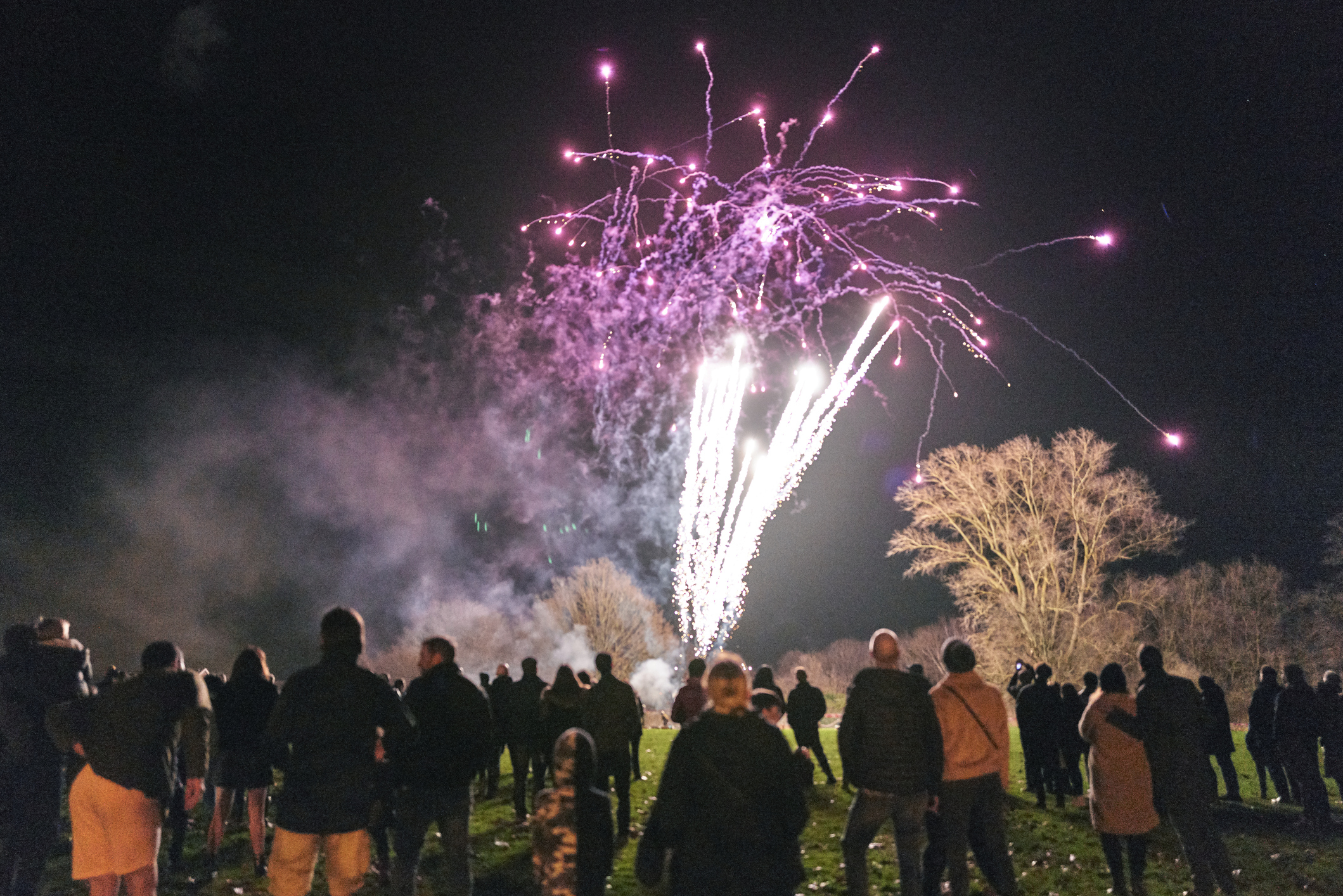 A crowd of people watching a fireworks display in an open field at night