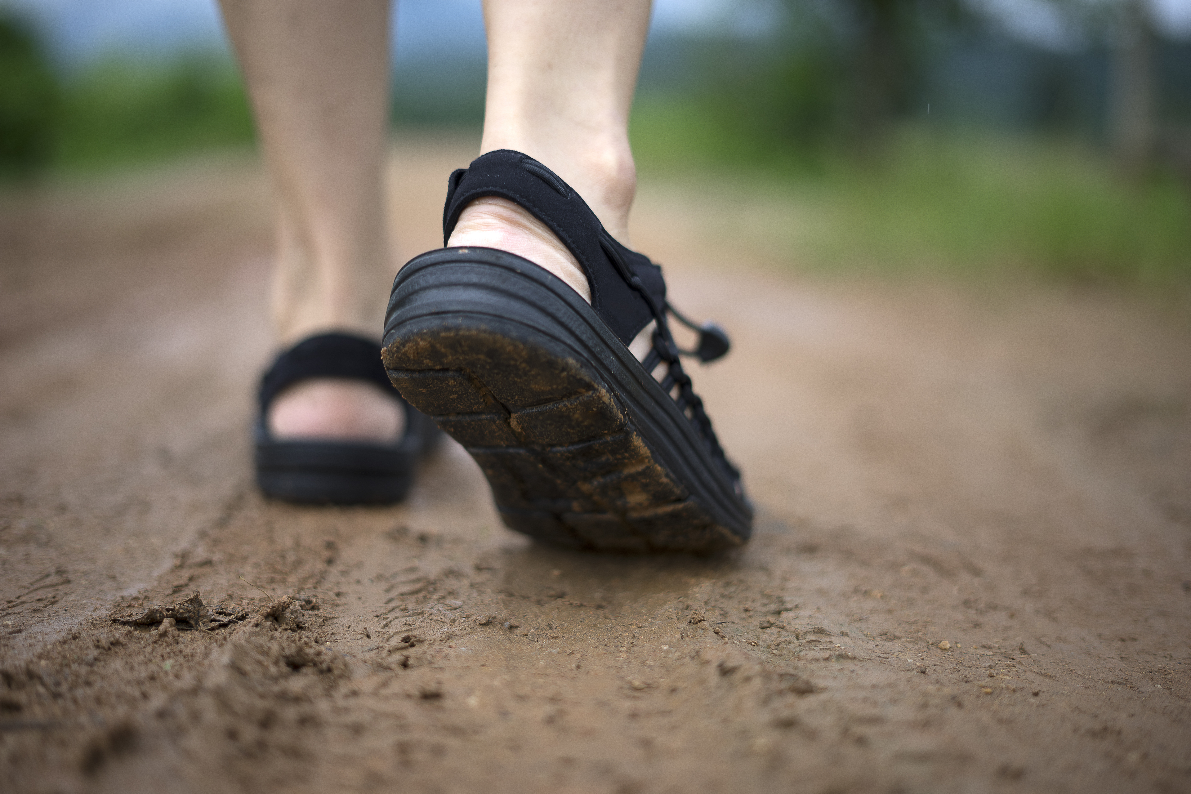 Close-up of a person's feet wearing black sandals walking on a muddy path