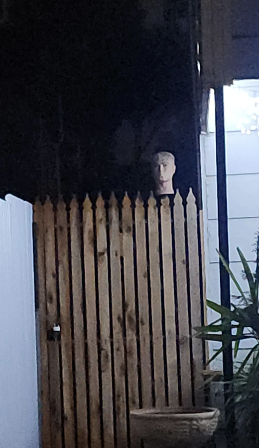 A mannequin head is placed on top of a wooden fence, seemingly peeking over a residential backyard