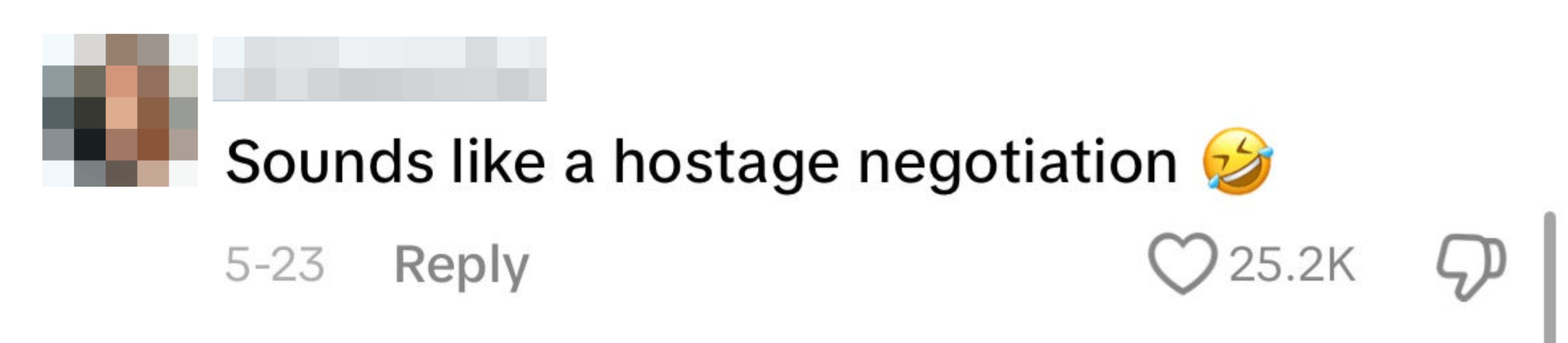 Comment with text, "Sounds like a hostage negotiation," followed by a laughing emoji. The comment has 25.2K likes