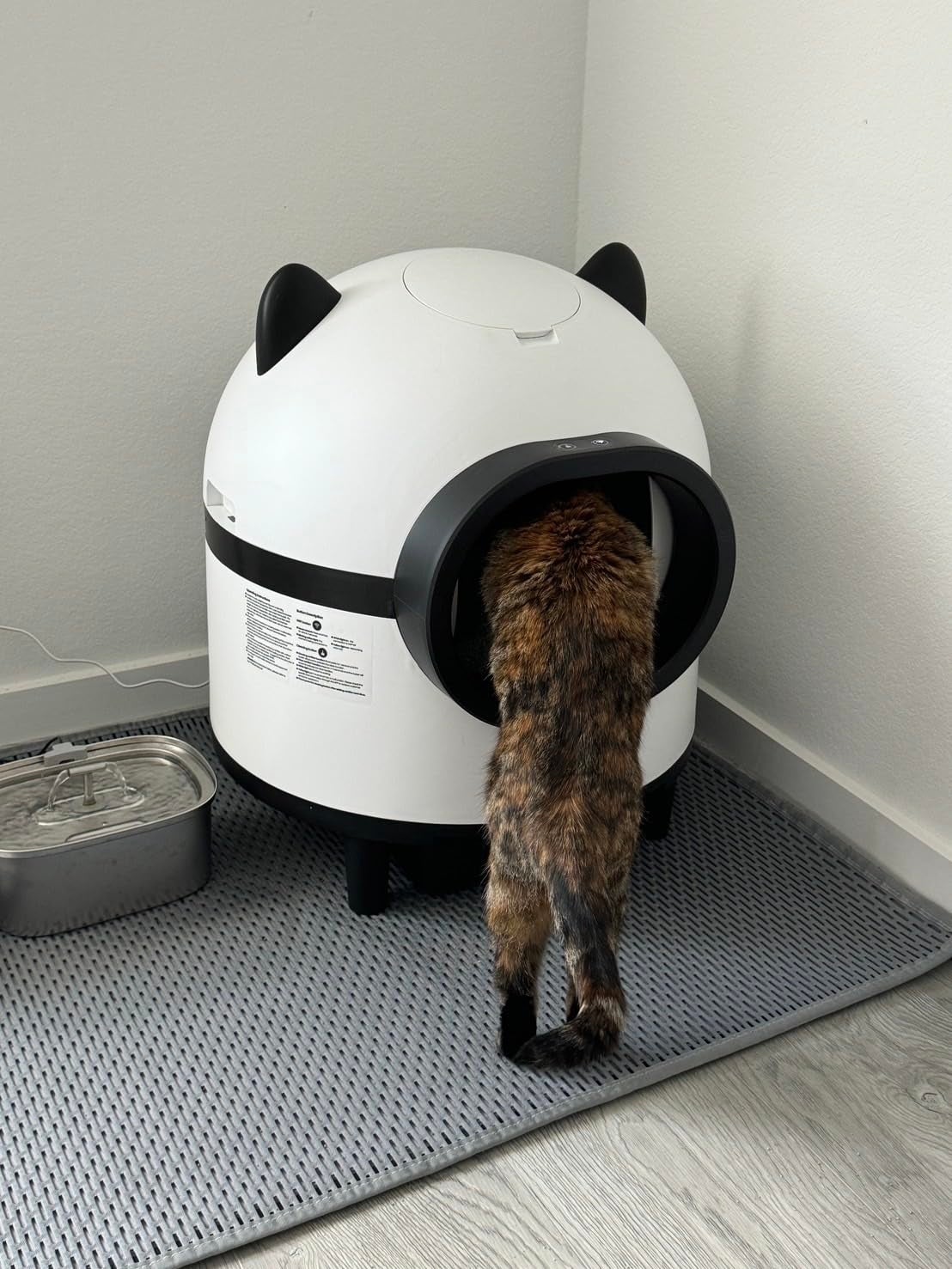 23 Best Prime Day Deals For Cat Owners