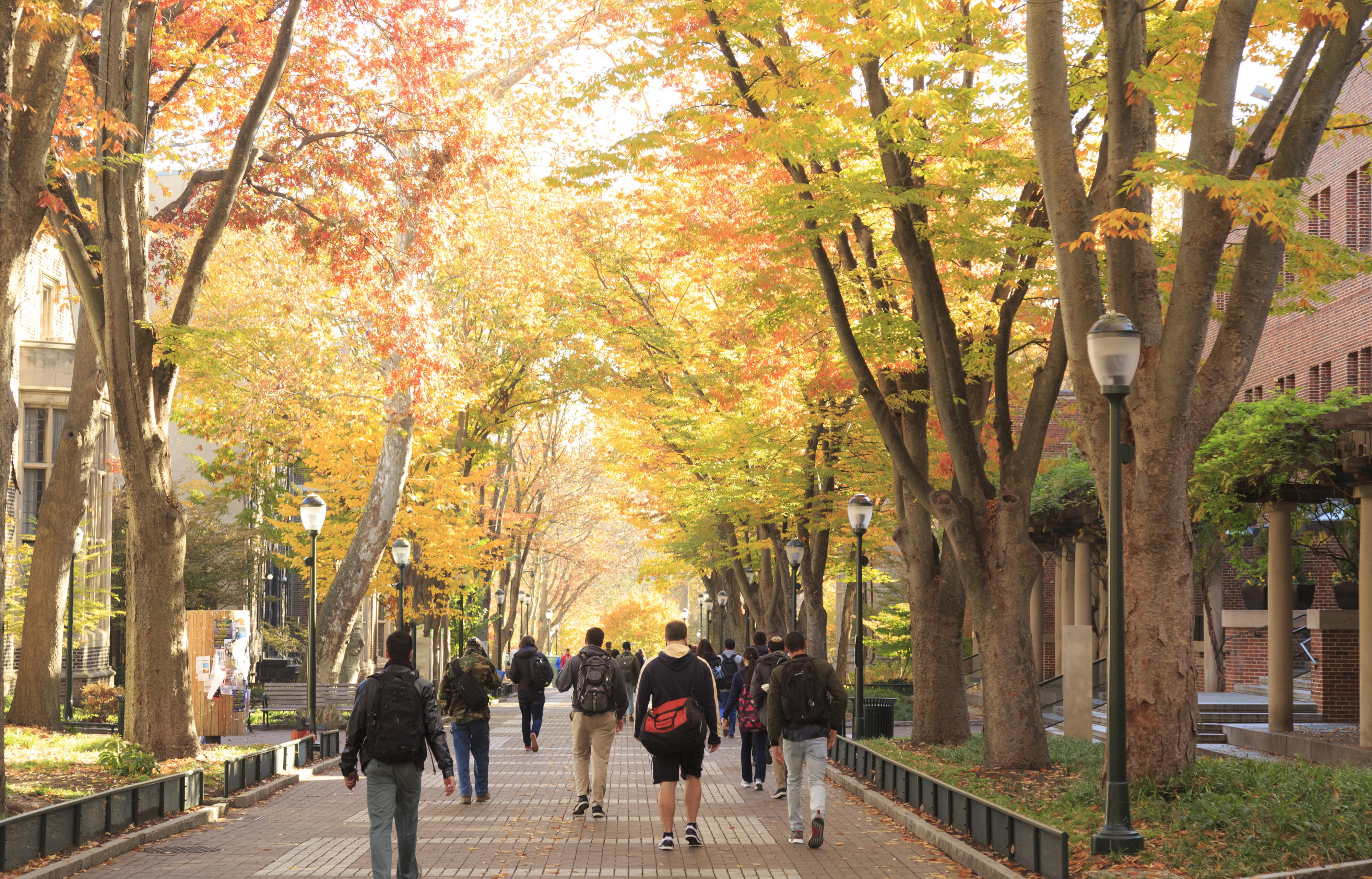 People walking down a tree-lined pathway during autumn, with colorful leaves on the trees