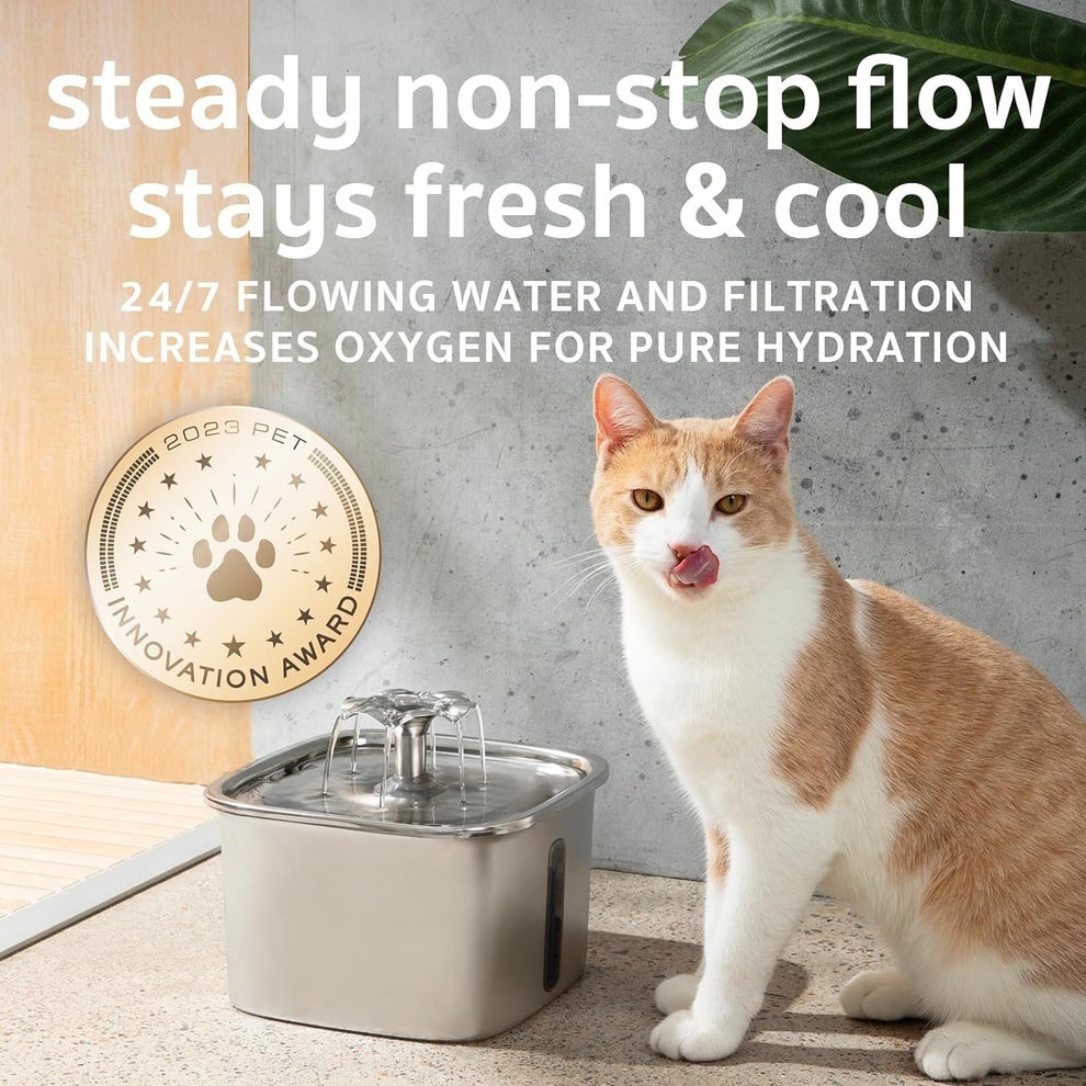 As Someone With Multiple Cats, Here Are The Fall Prime Day Pet Deals I Think You Don't Want To Miss (5) As Someone With Multiple Cats, Here Are The Fall Prime Day Pet Deals I Think You Don't Want To Miss (5)