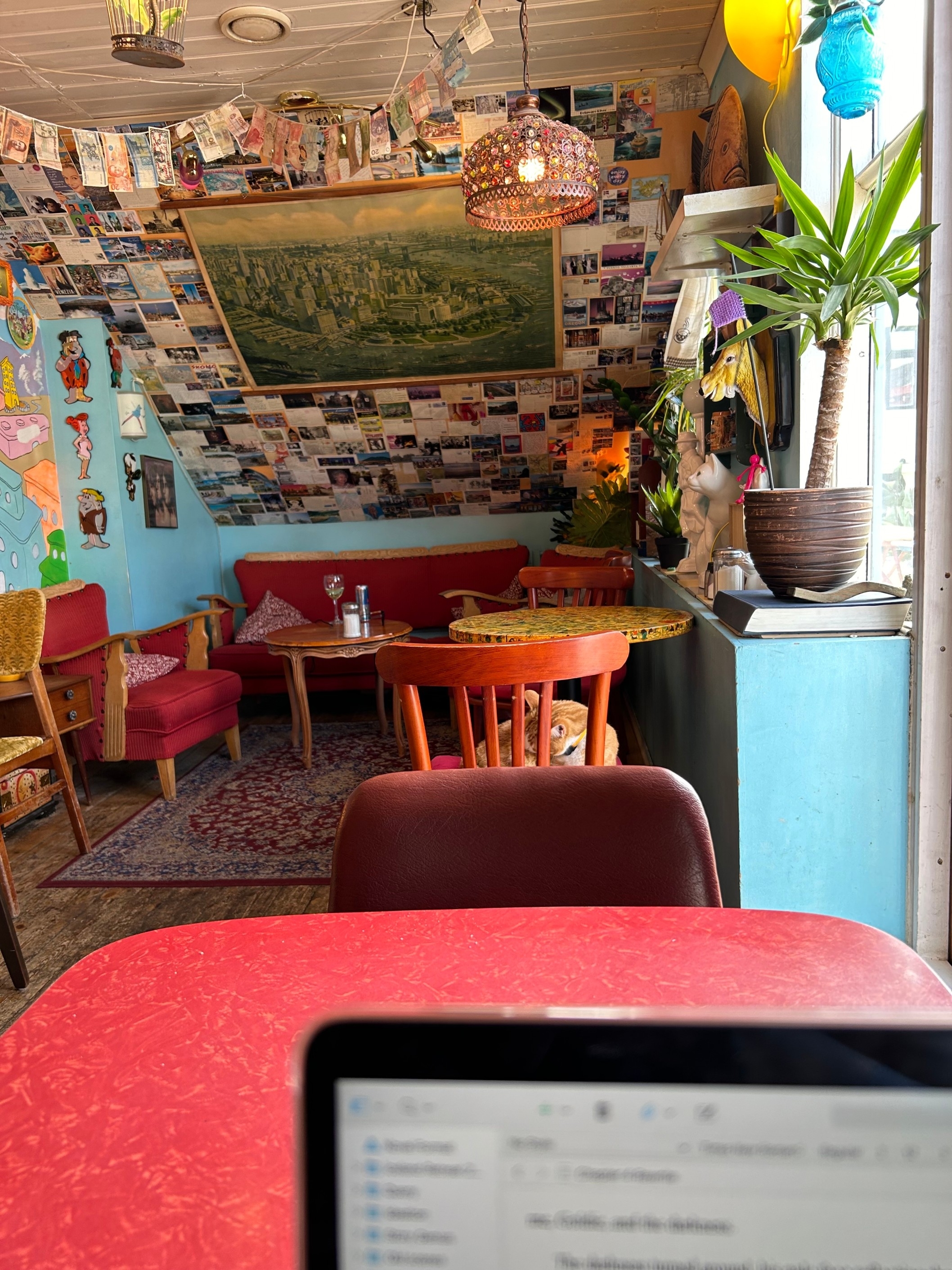 A cozy café interior with eclectic decor, including a wall covered in postcards, a large painting, and various plants. A laptop is open on a table