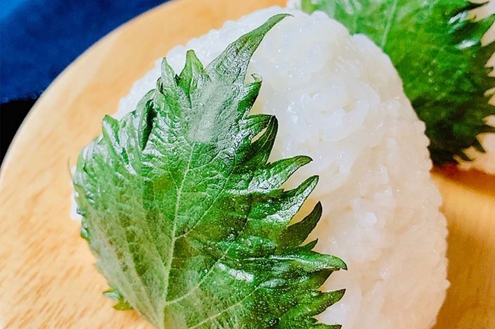 木の皿に乗った、青じそで包まれたおにぎりのクローズアップ。