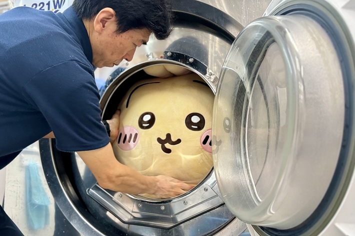 男性が洗濯機の中から大きなぬいぐるみを取り出している。
