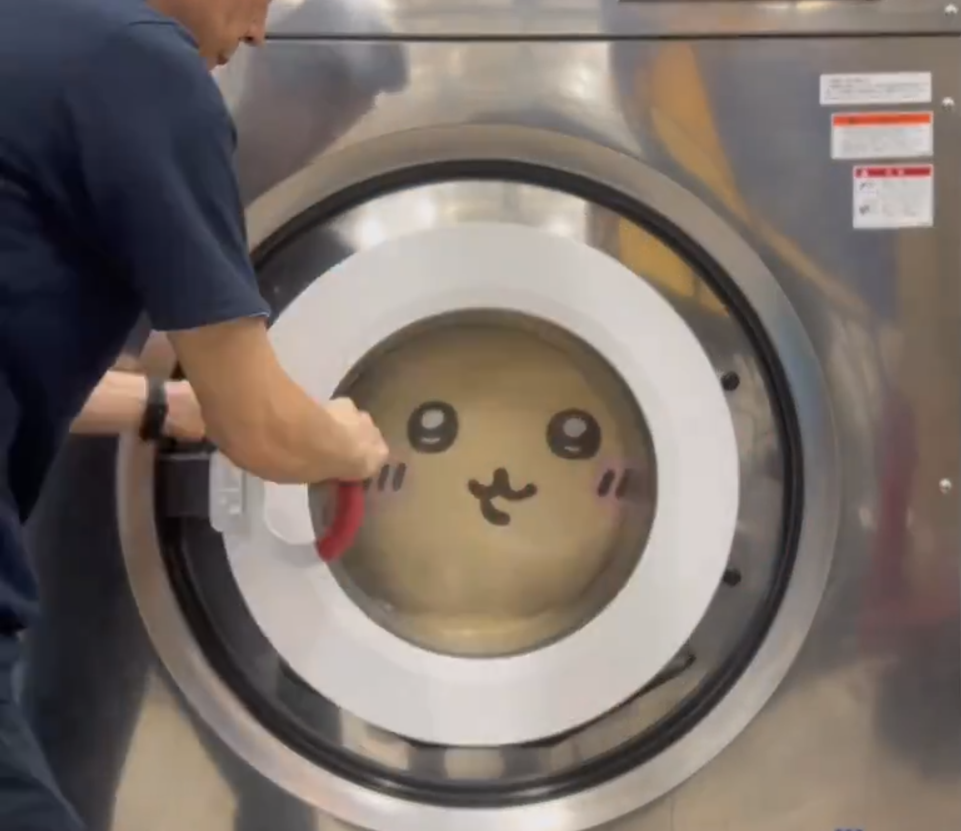 クリーニングされる『ちいかわ』の「うさぎ」のぬいぐるみ/ネットで洗濯.com(@403_net)公式Xより