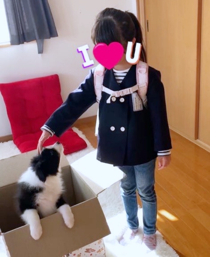 段ボール箱に入った雫ちゃんとなでる娘さん