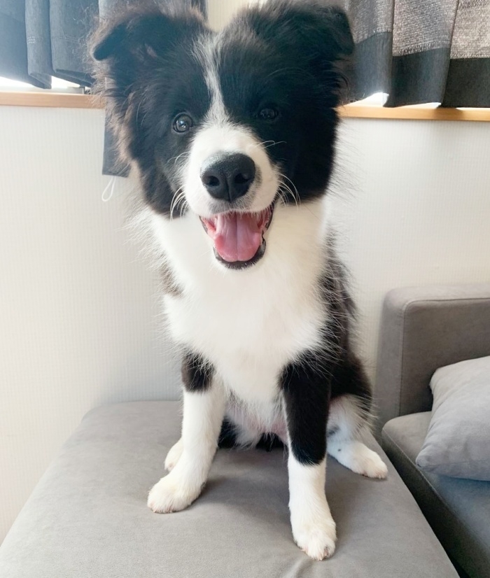 にこにこ笑みを浮かべる雫ちゃん