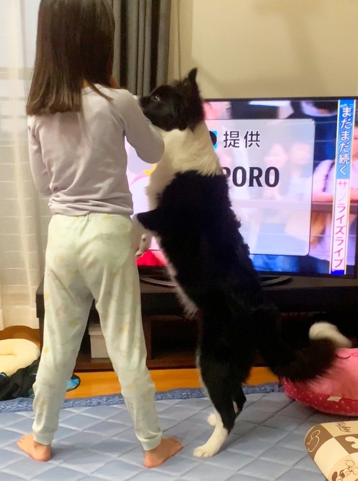 二足立ちで娘さんにじゃれる雫ちゃん