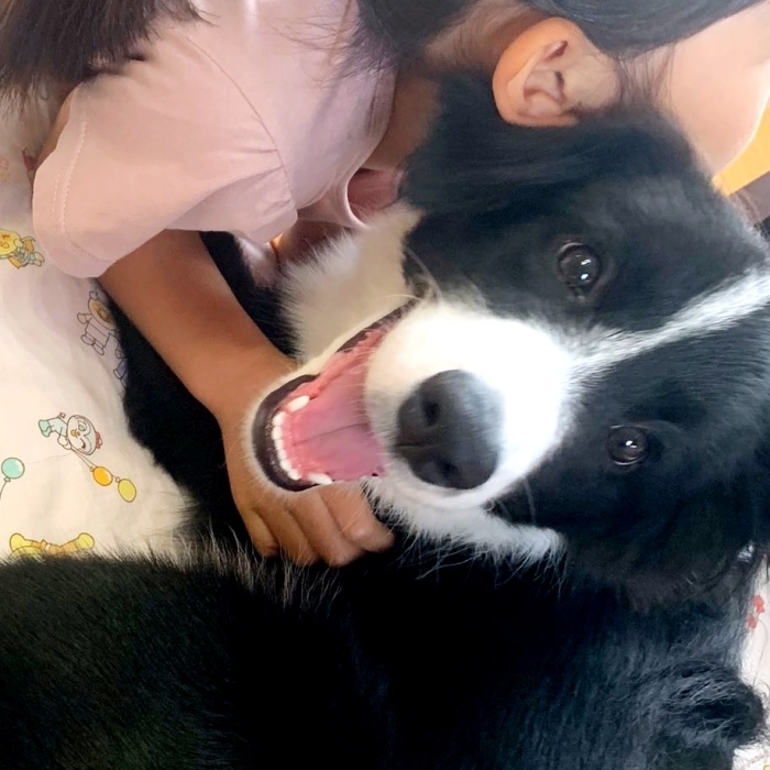 娘さんと一緒に寝そべる雫ちゃん