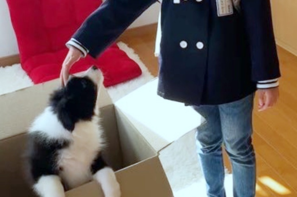 お迎え初日の雫ちゃん（左）と娘さん（右）