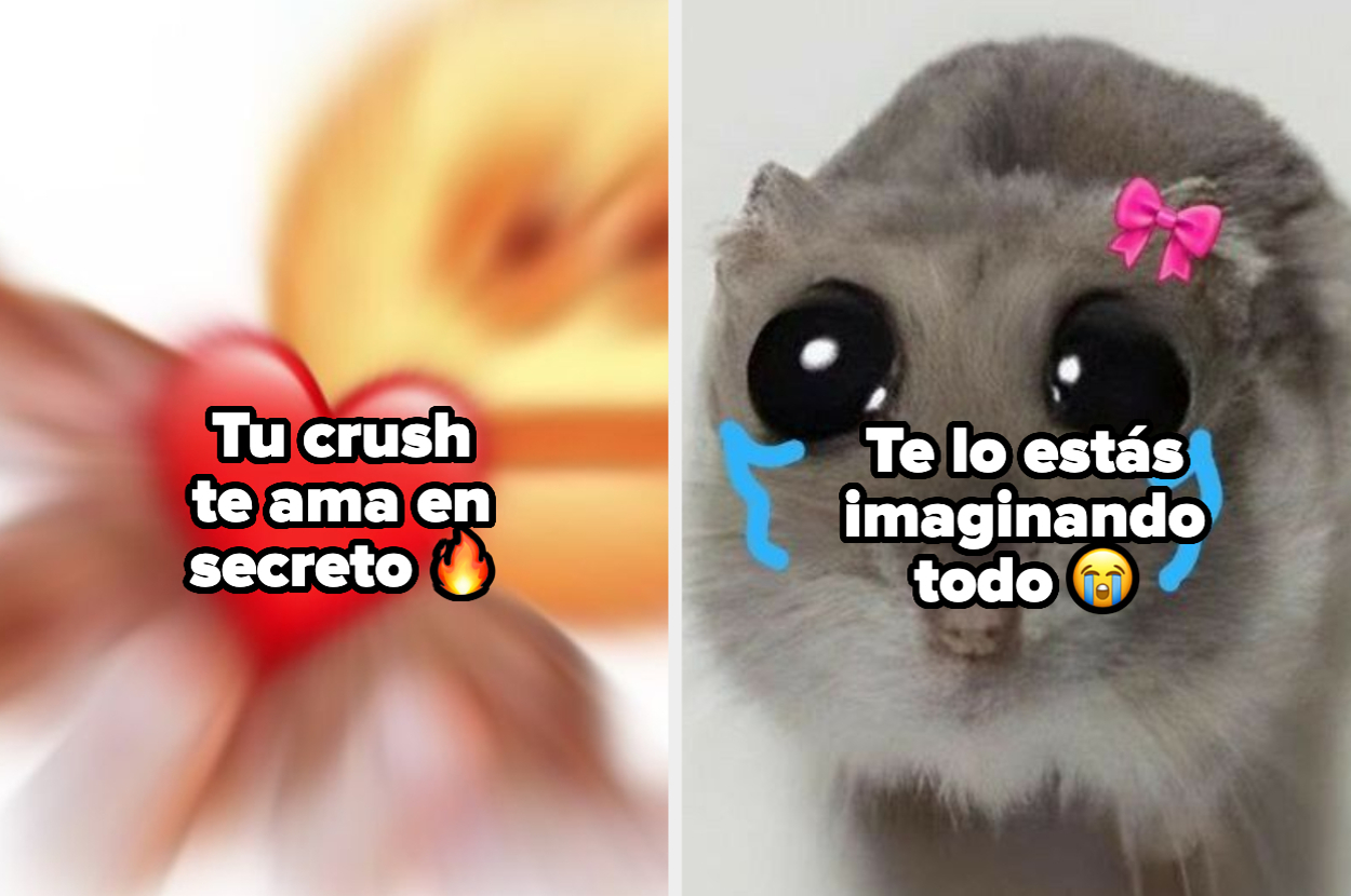 A la izquierda, una imagen difusa con el texto "Tu crush te ama en secreto ?". A la derecha, un roedor con el texto "Te lo estás imaginando todo ?"