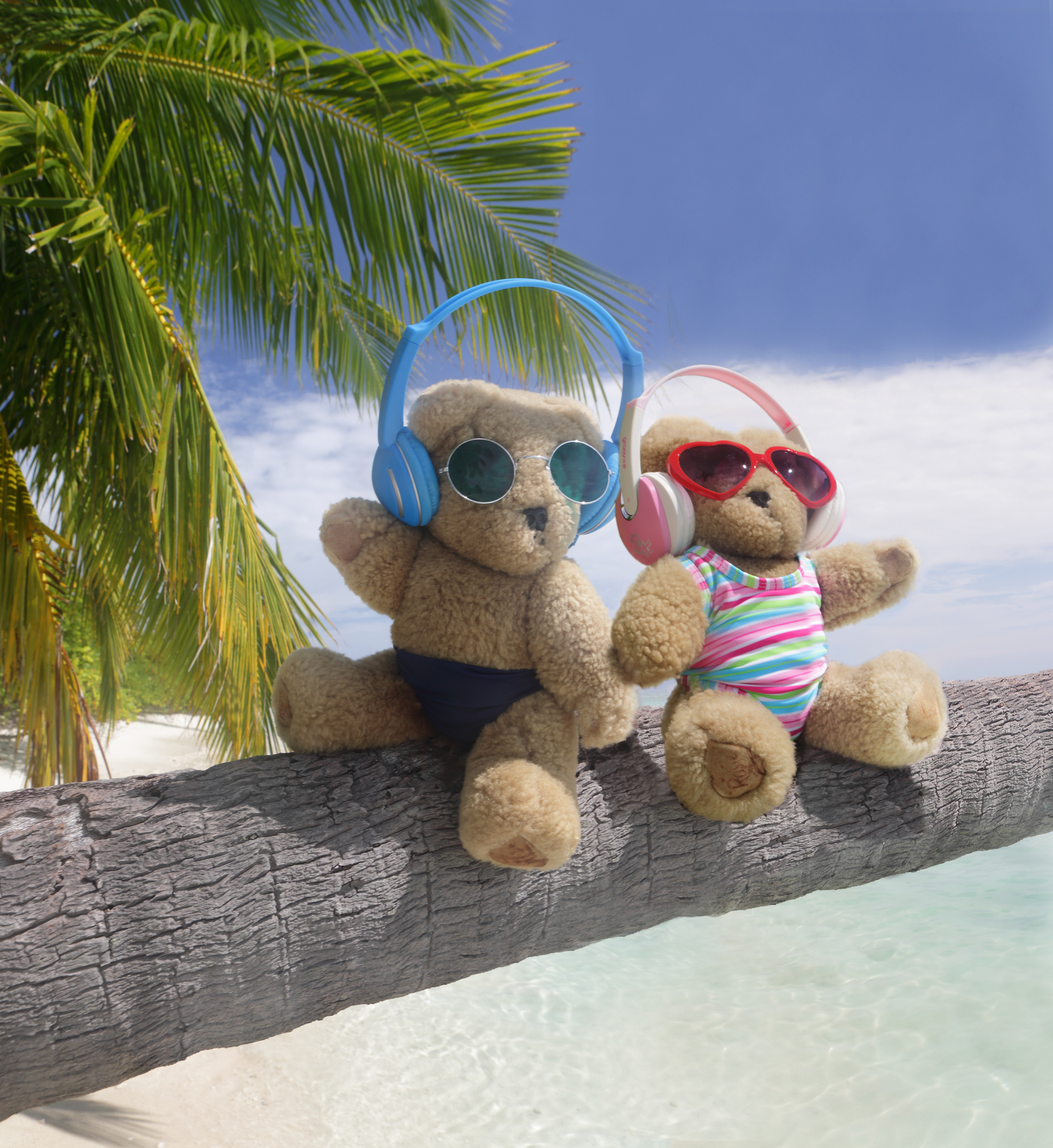 Teddy bears with headphones and sunglasses sit on a palm tree by the beach. One wears swim trunks; the other has a striped swimsuit