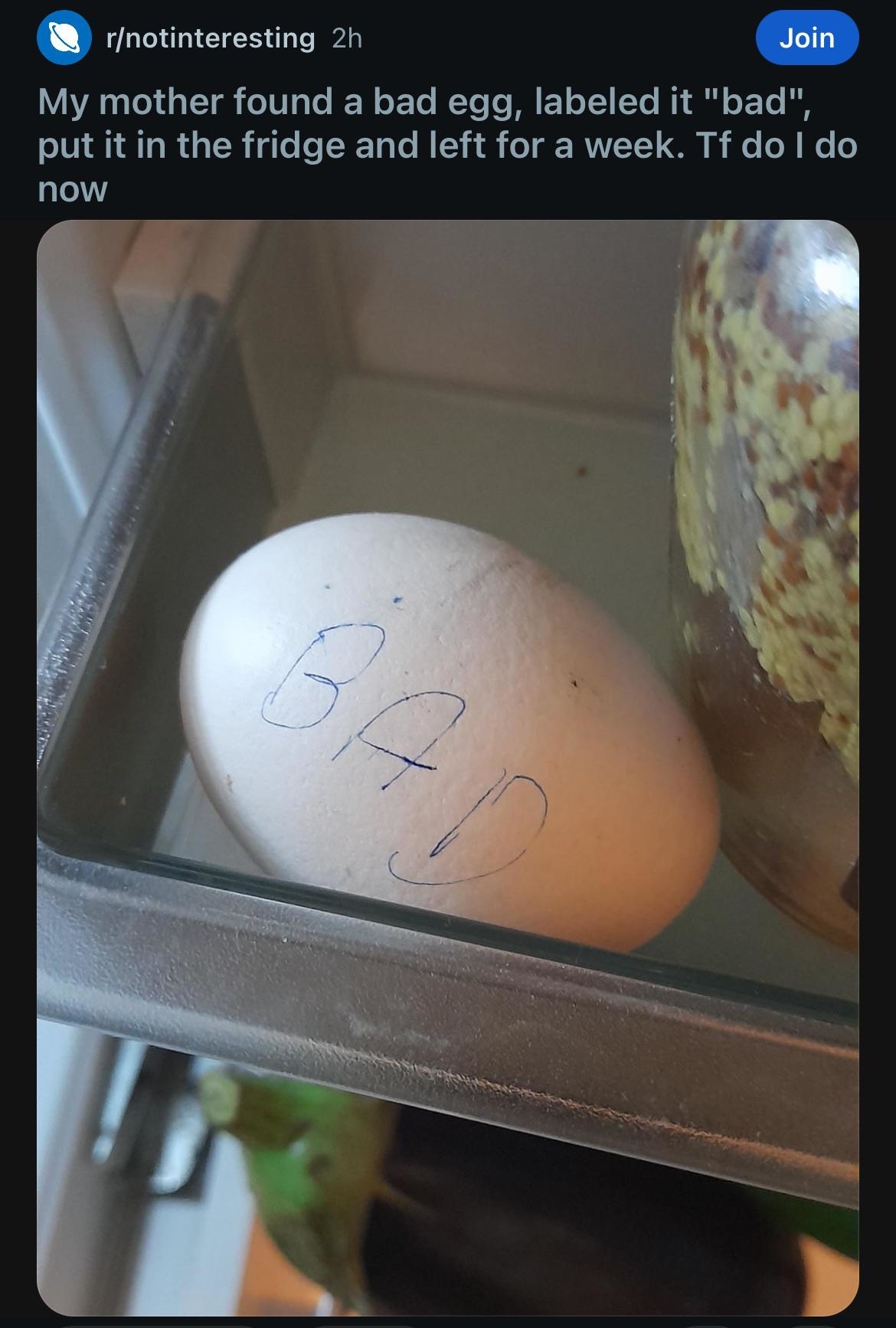 Egg in a refrigerator labeled "BAD." Text above: "My mother found a bad egg, labeled it 'bad,' put it in the fridge and left for a week. Tf do I do now."