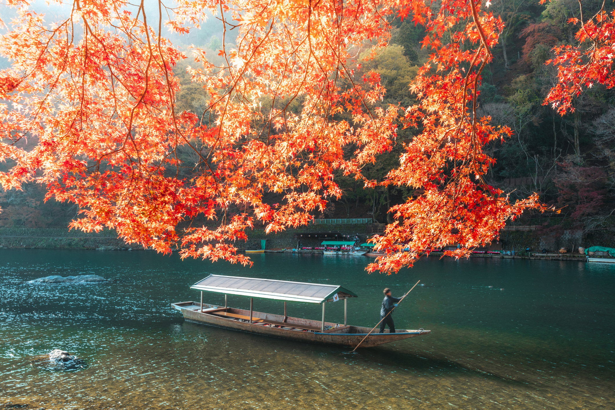 A person navigates a traditional wooden boat on a serene river, framed by overhanging tree branches
