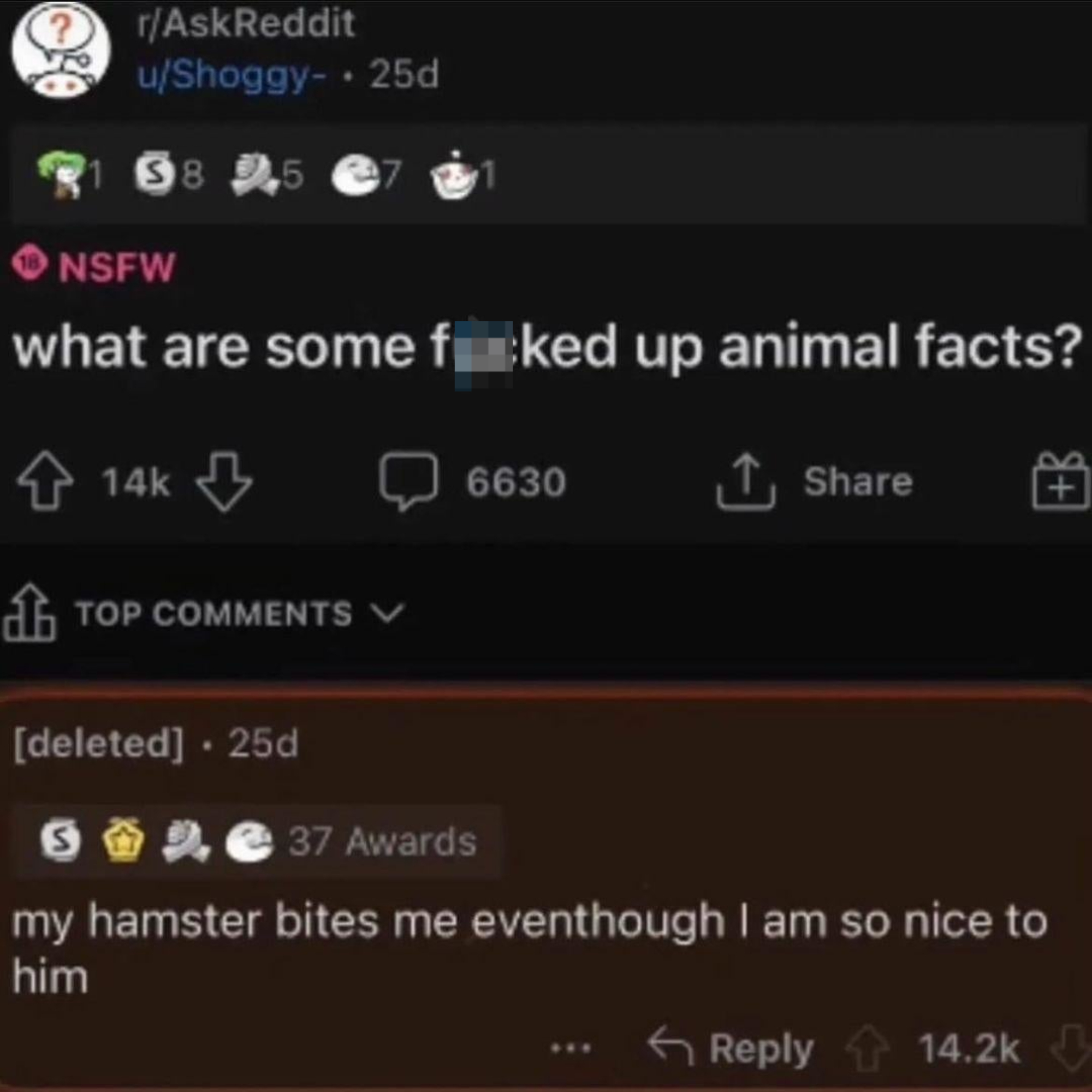Reddit post asking for "messed up animal facts" with a top comment about a hamster biting despite being treated nicely