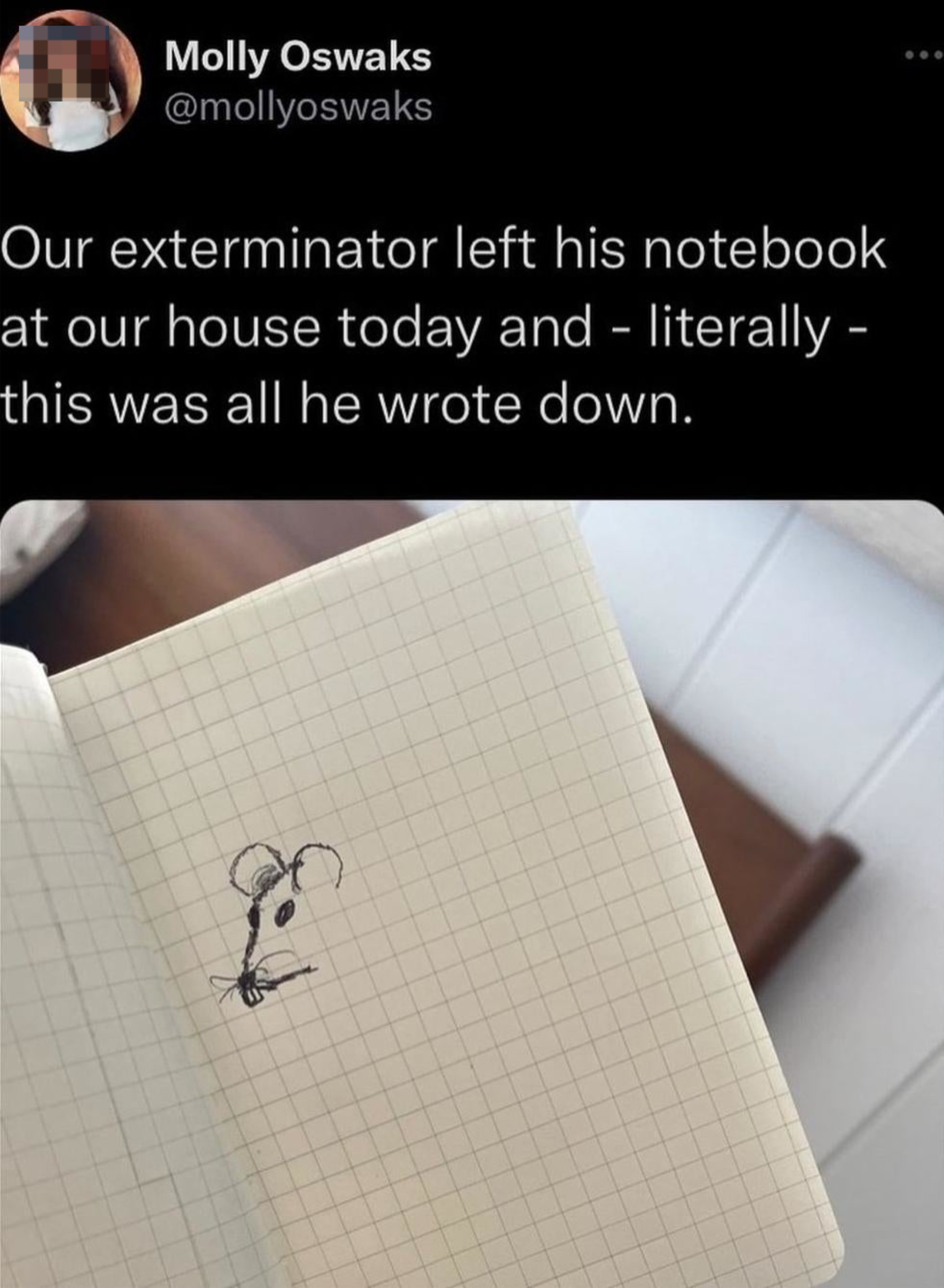 Molly tweeted that their exterminator left a notebook at her house, containing only a drawing of a mouse