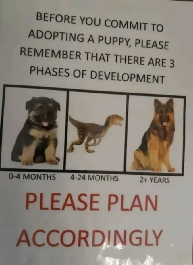 Sign showing three phases of dog development: 0-4 months as a puppy, 4-24 months as a mischievous "dinosaur", and 2+ years as an adult. "Please Plan Accordingly."