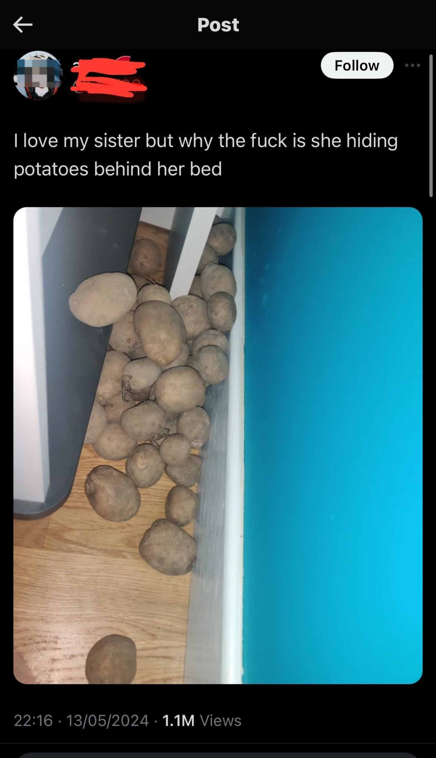 A series of potatoes are scattered behind a bed. The text reads: "I love my sister but why the fuck is she hiding potatoes behind her bed." The post has 1.1M views