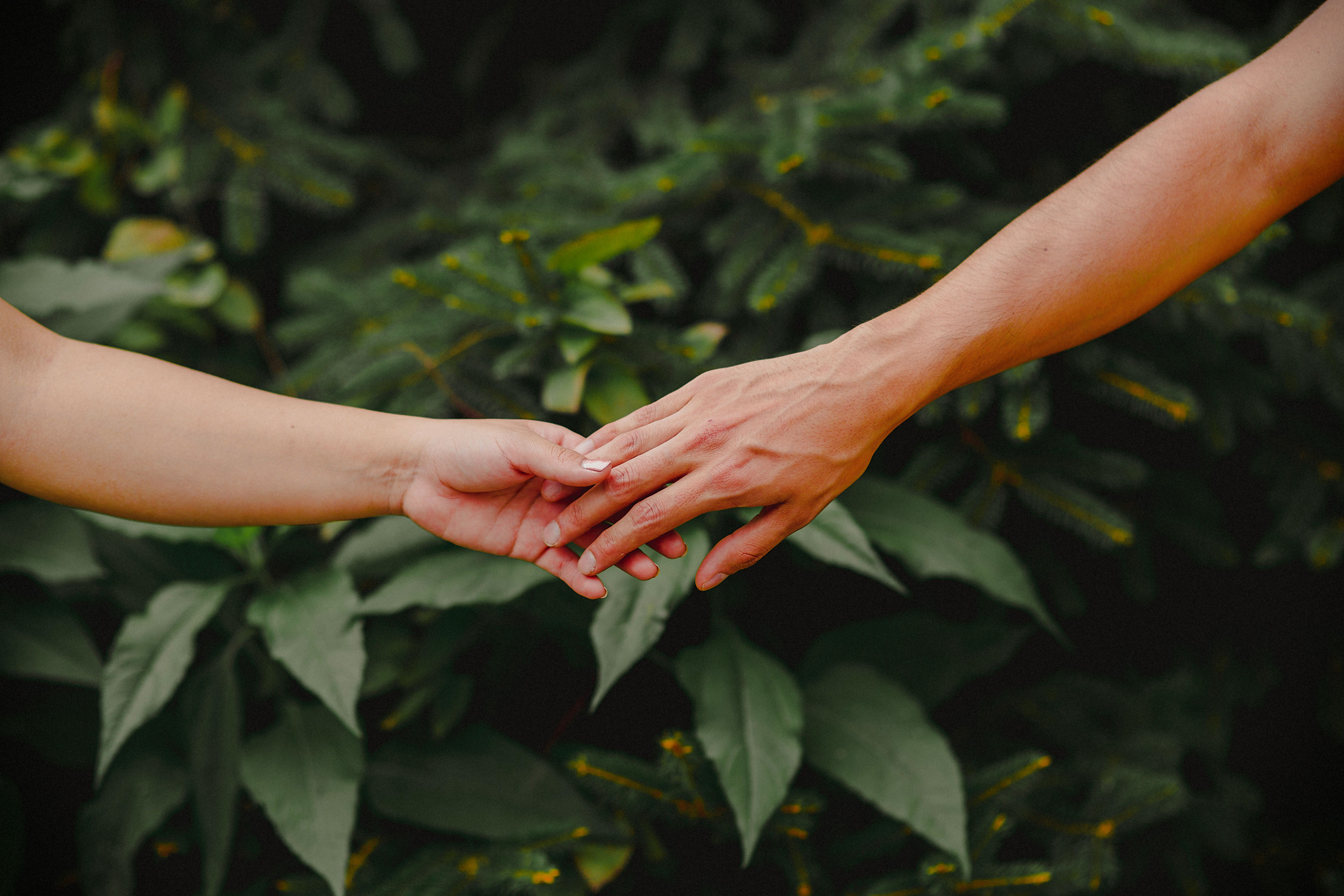 A close-up of two hands reaching out to each other with a background of green foliage