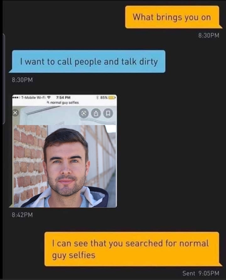 Text exchange screenshot: One person wants to call and talk dirty. Another responds by showing a photo search for "normal guy selfies," humorously implying that's why they are messaging
