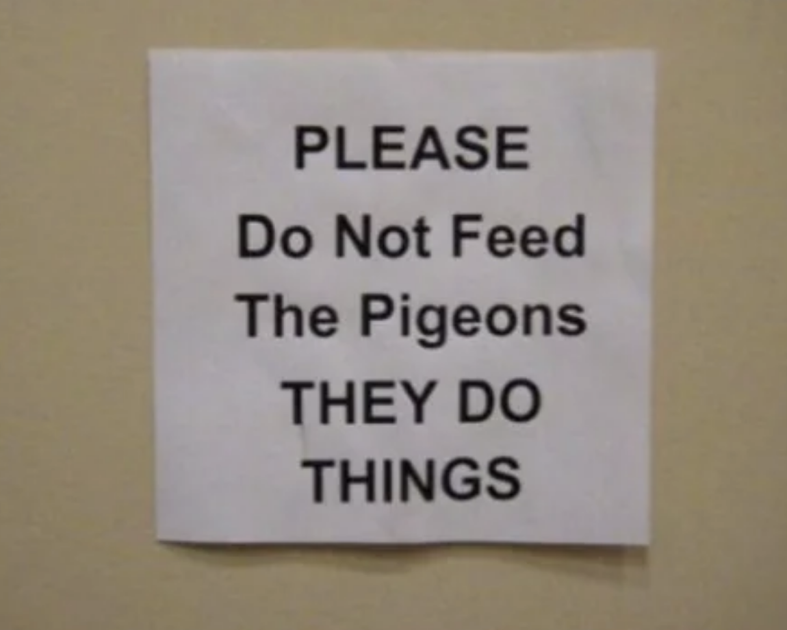 Sign reads: "PLEASE Do Not Feed The Pigeons THEY DO THINGS."