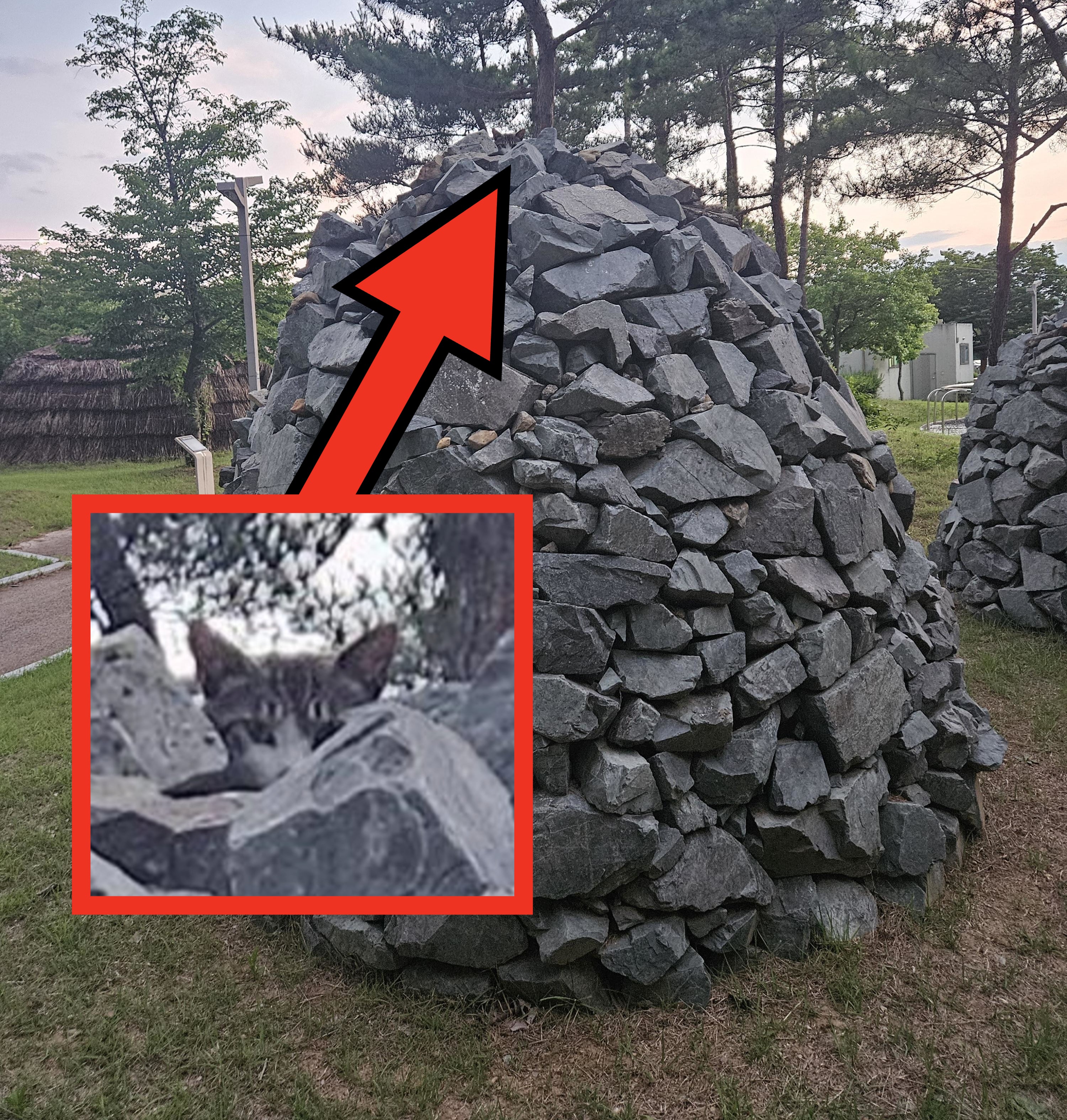 A large conical pile of rocks with a tree growing from the top, set in a park with other trees and pathways in the background