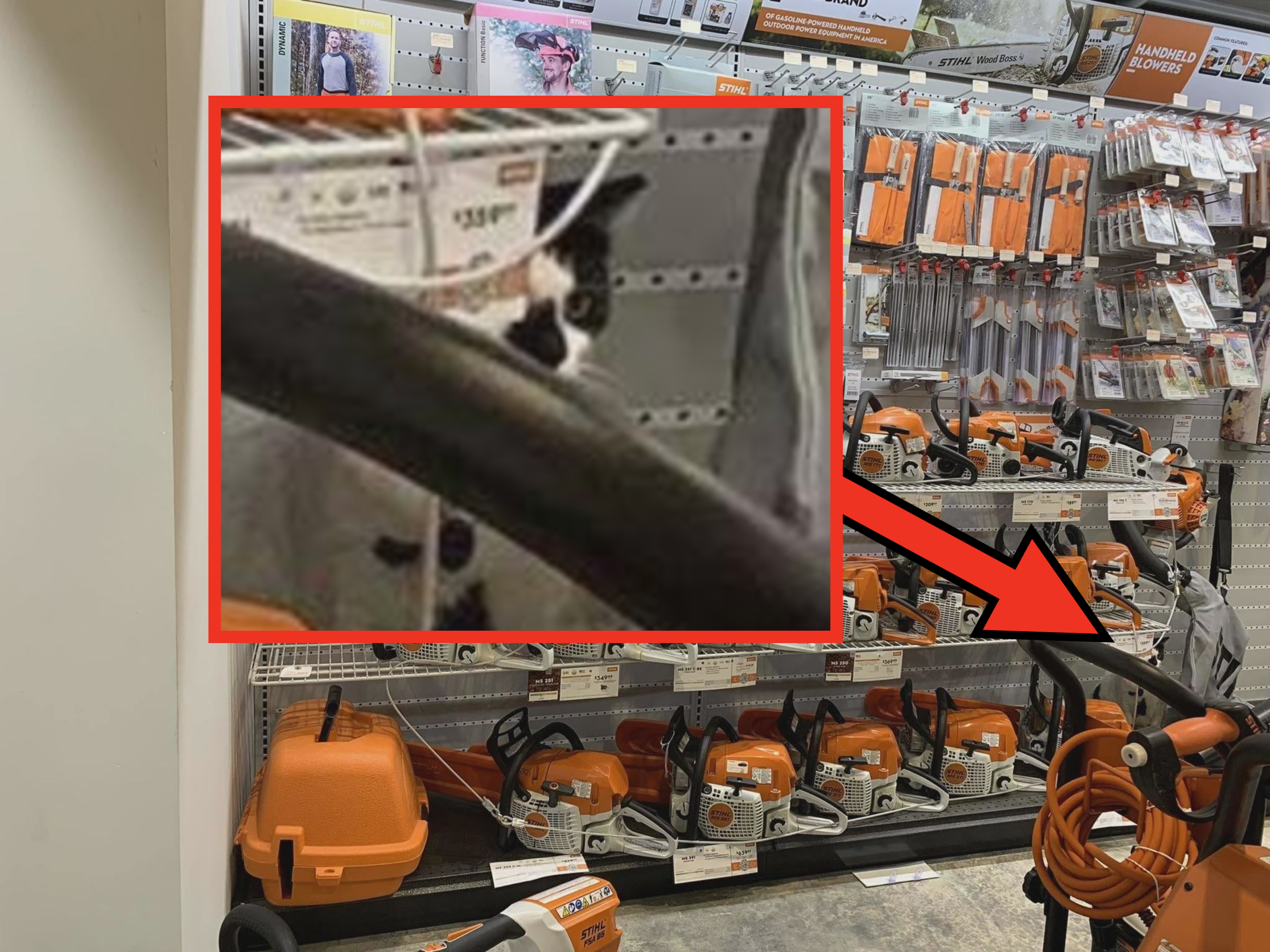 Store display shelf with various models of Stihl chainsaws, accessories, and protective gear