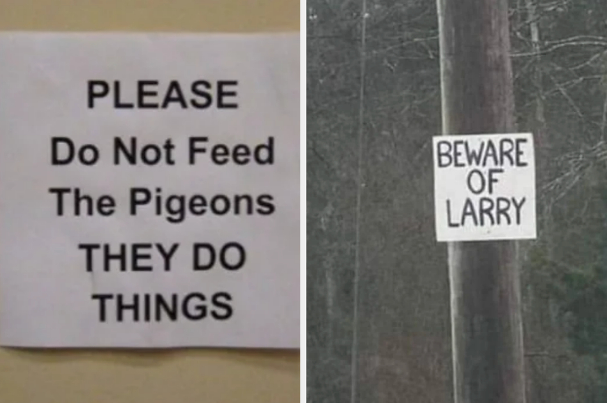 Two signs: "PLEASE Do Not Feed The Pigeons. THEY DO THINGS" and "BEWARE OF LARRY". Internet Finds category