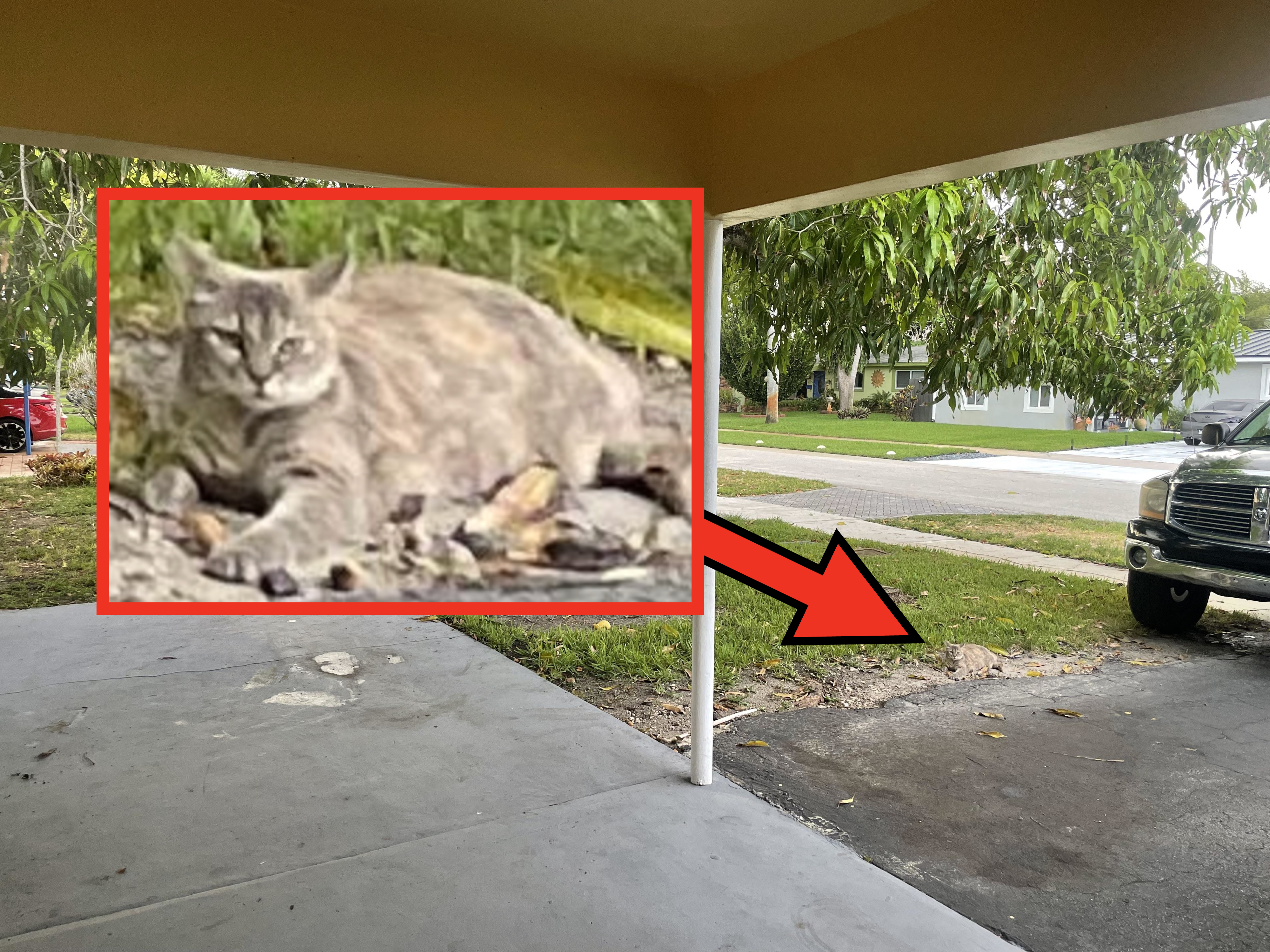 View from a carport toward a suburban street. There is a tree in the yard and cars are parked along the street and in driveways. No people are visible