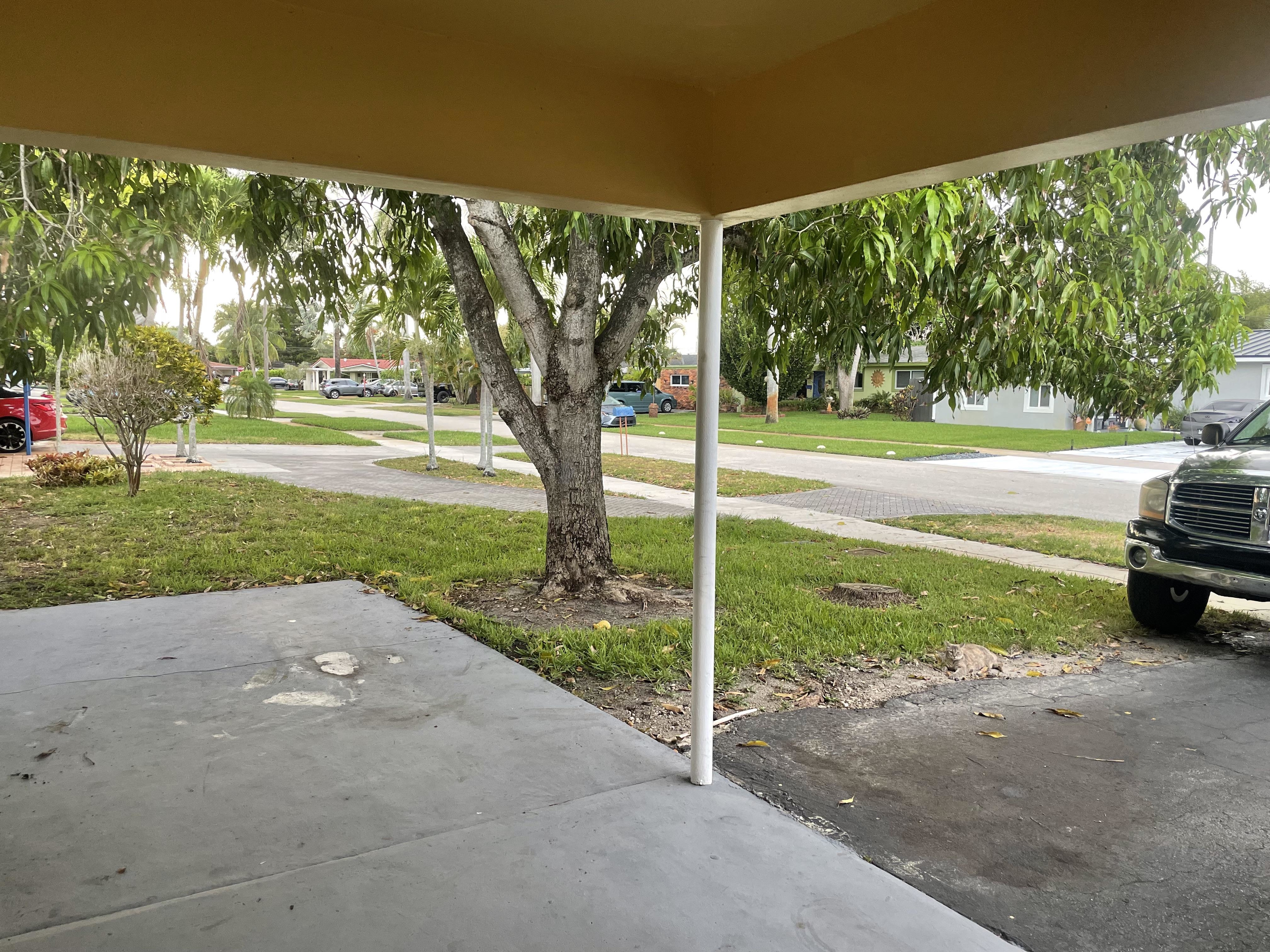 View from a carport toward a suburban street. There is a tree in the yard and cars are parked along the street and in driveways. No people are visible