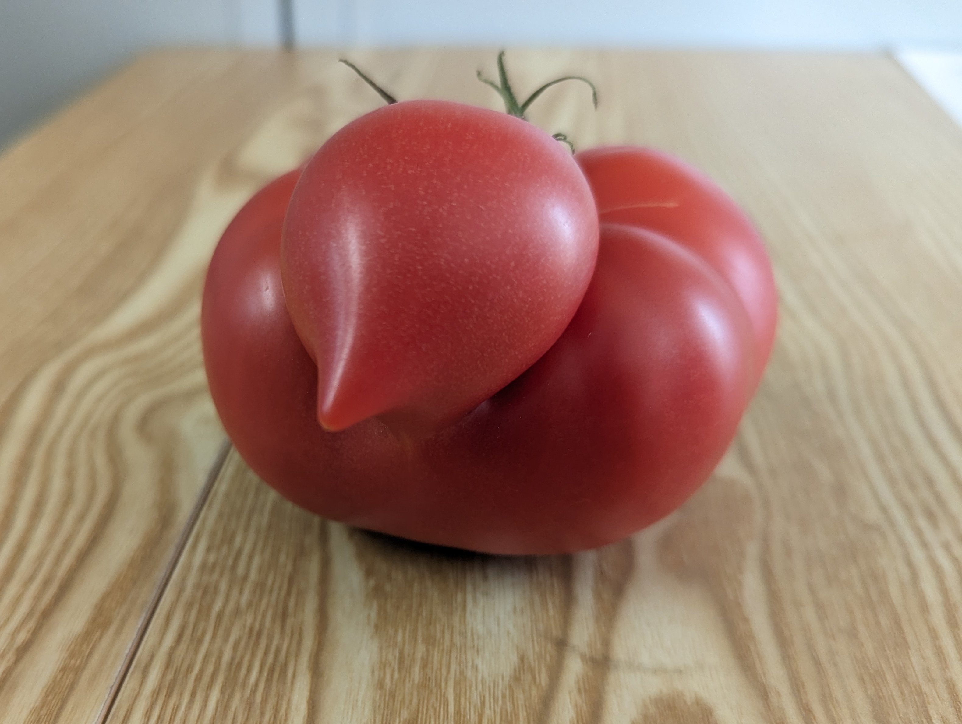 奇妙な形をしたトマトが木製のテーブルの上に置かれている。