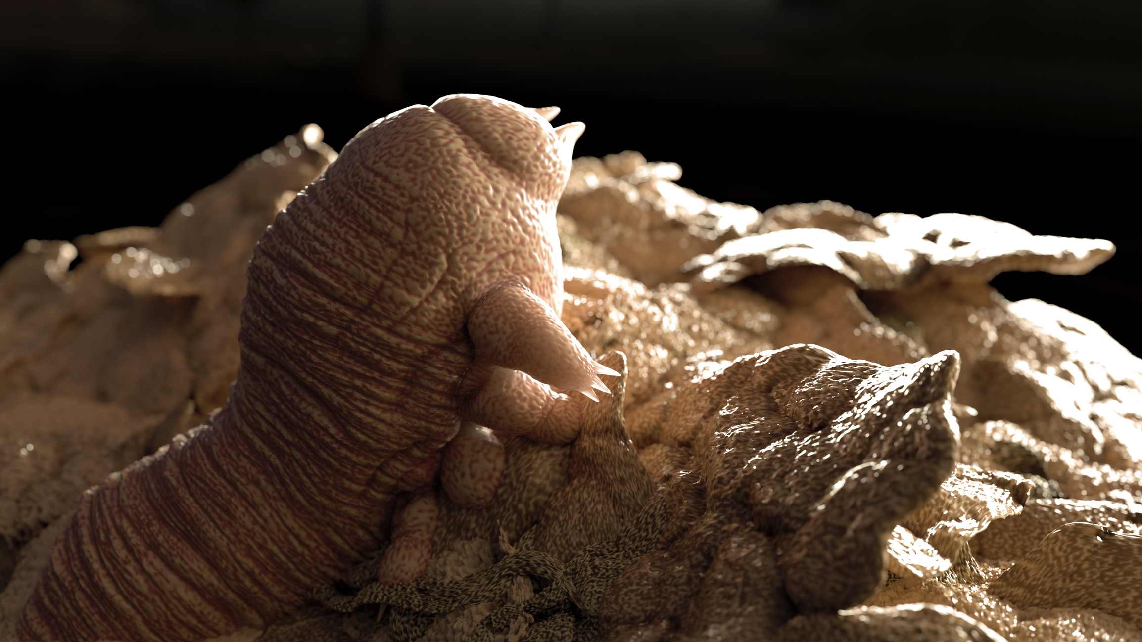 A close-up image of a tardigrade, a microscopic water-dwelling animal with a segmented body and stubby legs, on a textured surface