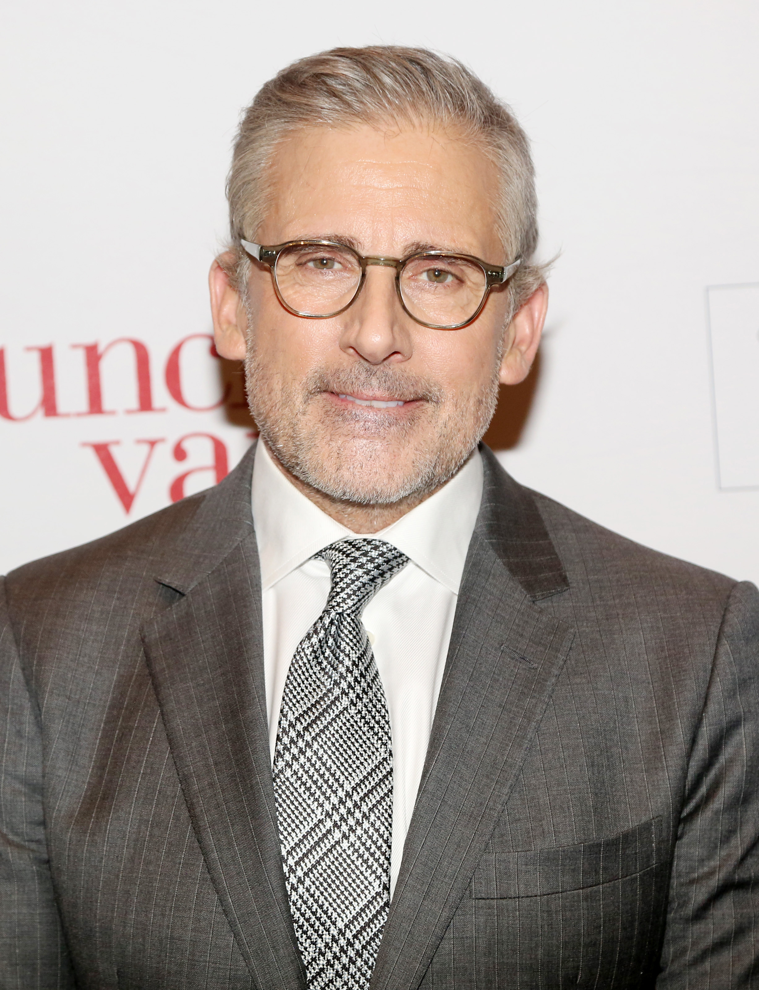 Steve Carell at a red carpet event, wearing a patterned tie and a classic suit with glasses