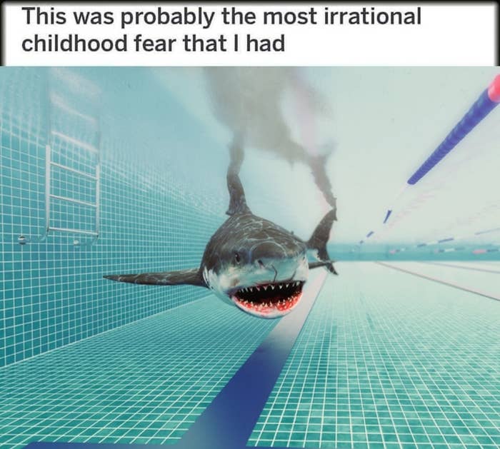 A digitally altered image of a shark swimming in a swimming pool with the text: &quot;This was probably the most irrational childhood fear that I had.&quot;