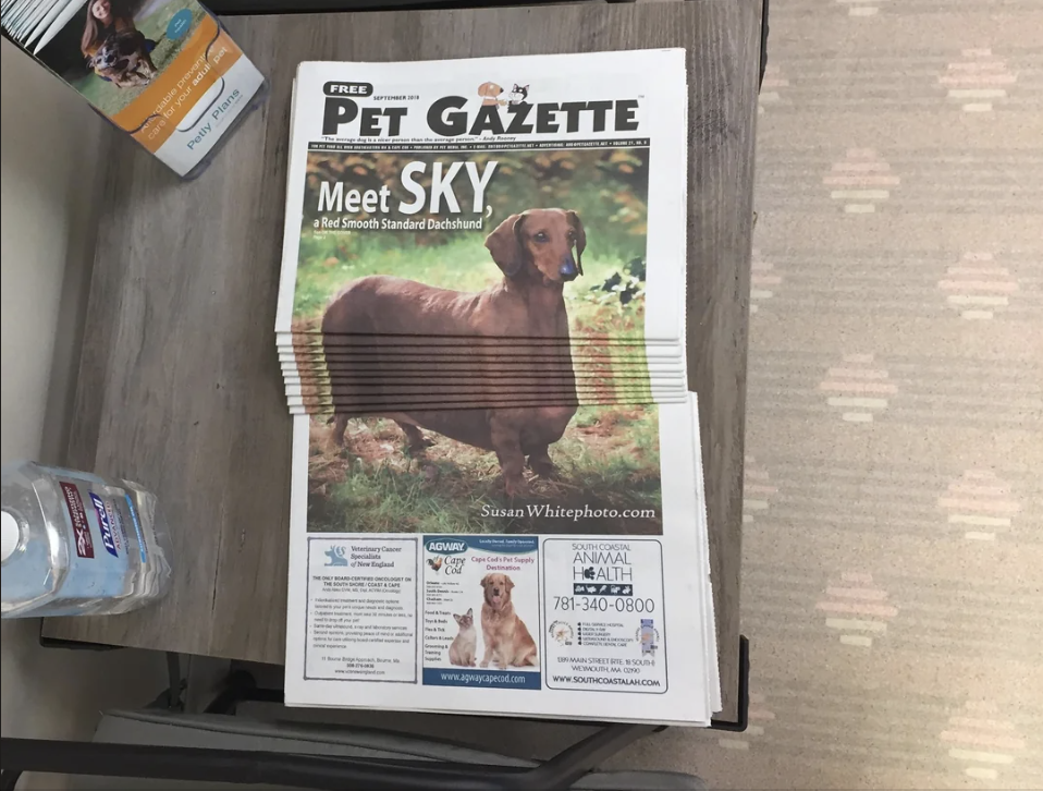 A Pet Gazette magazine cover shows a photo of a Red Smooth Standard Dachshund named Sky. The magazine includes articles and s related to pets