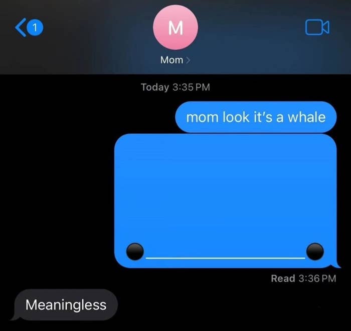 Text conversation screenshot where child sends an image of a "whale" (text art using underscores and periods) to their mom, who responds with "Meaningless."