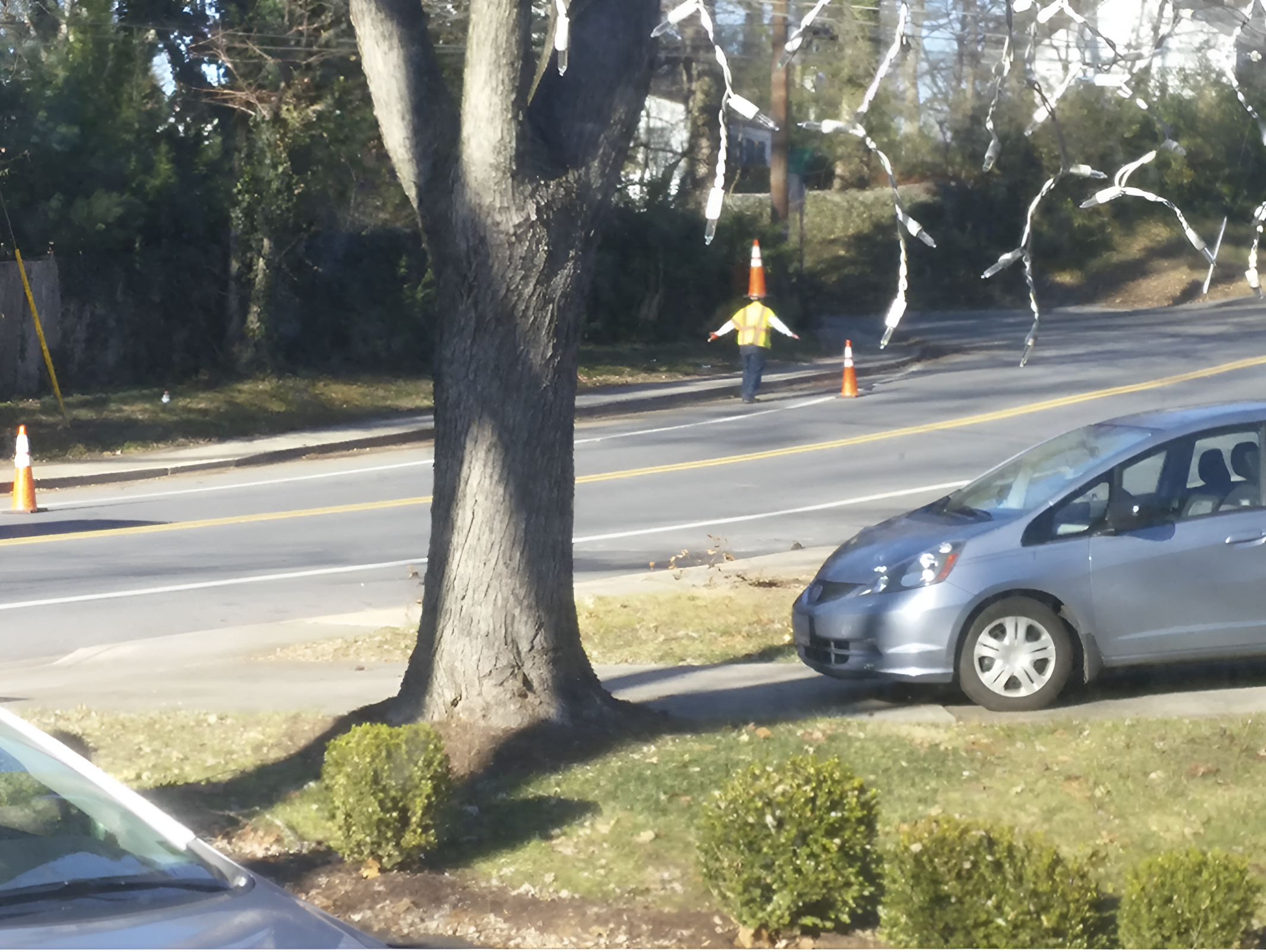 A person in a bright vest directs traffic on a neighborhood street near a tree and houses. Traffic cones are placed along the road