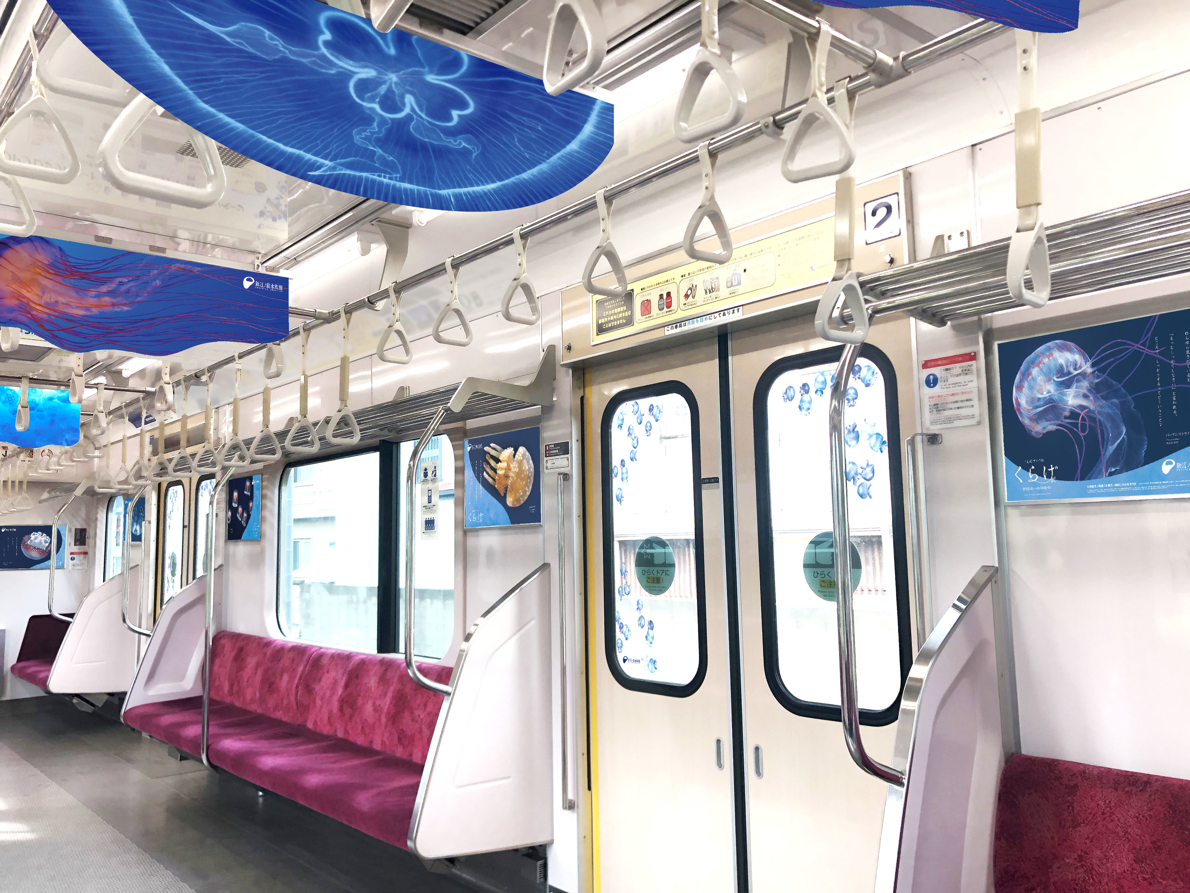 クラゲ好き集まれ！ 新江ノ島水族館のクラゲが小田急線を広告ジャック